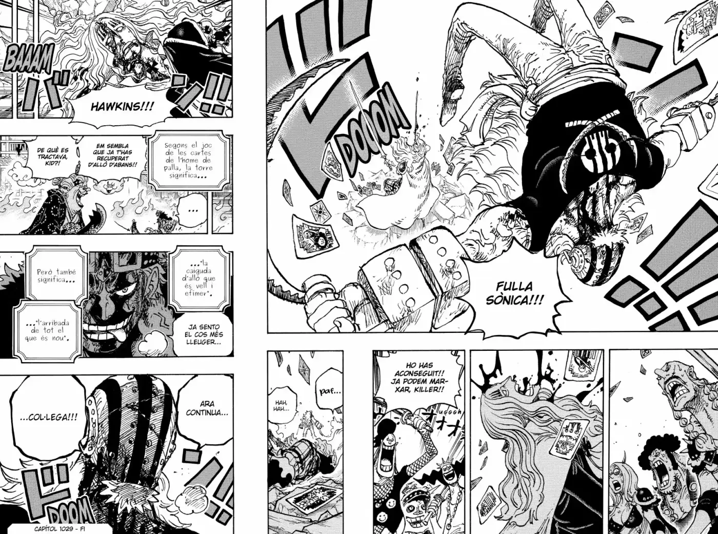 One Piece (Català) - Capítulo 1029 - Página 14 - LectorTMOo