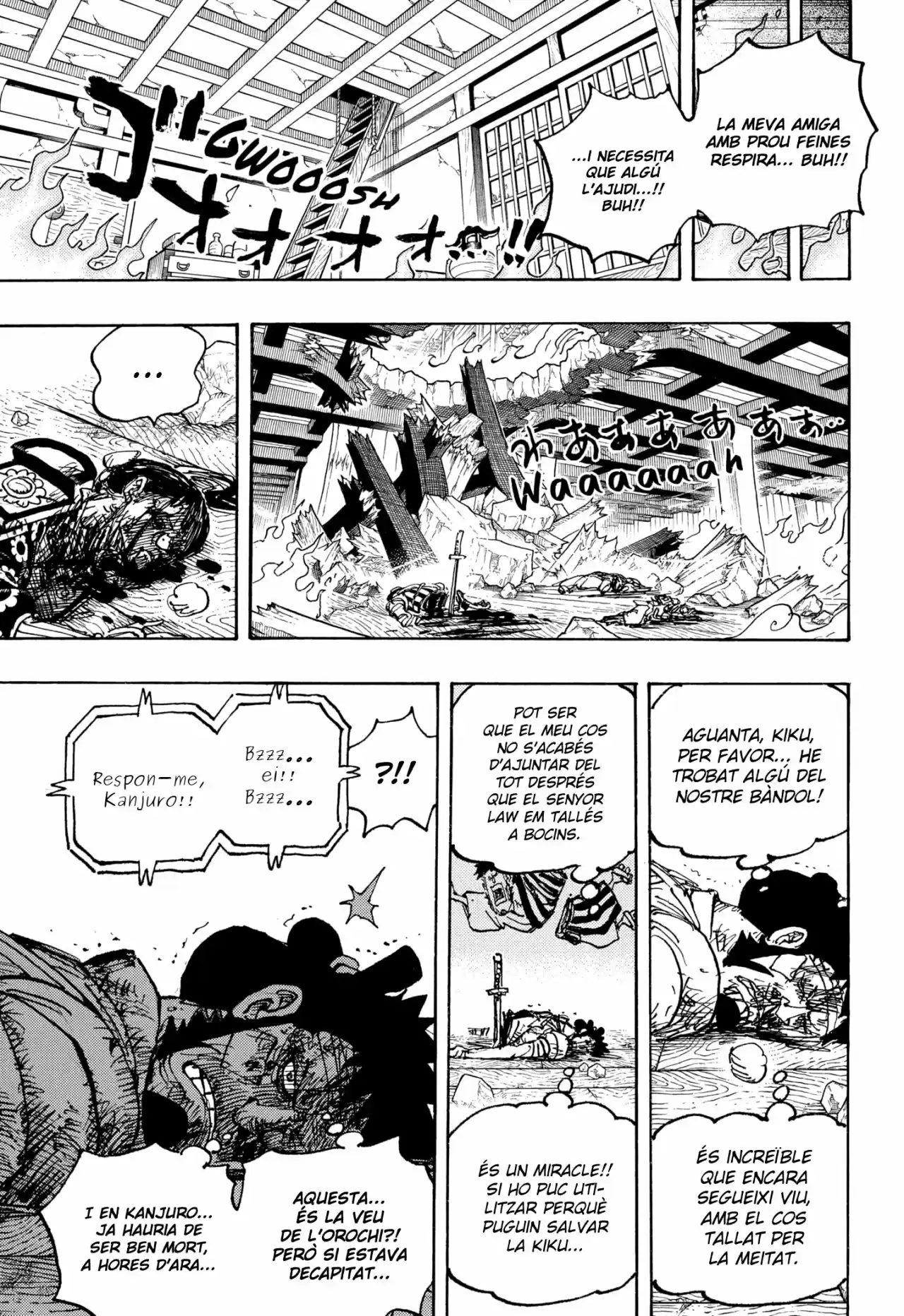 One Piece (Català) - Capítulo 1030 - Página 6 - LectorTMOo