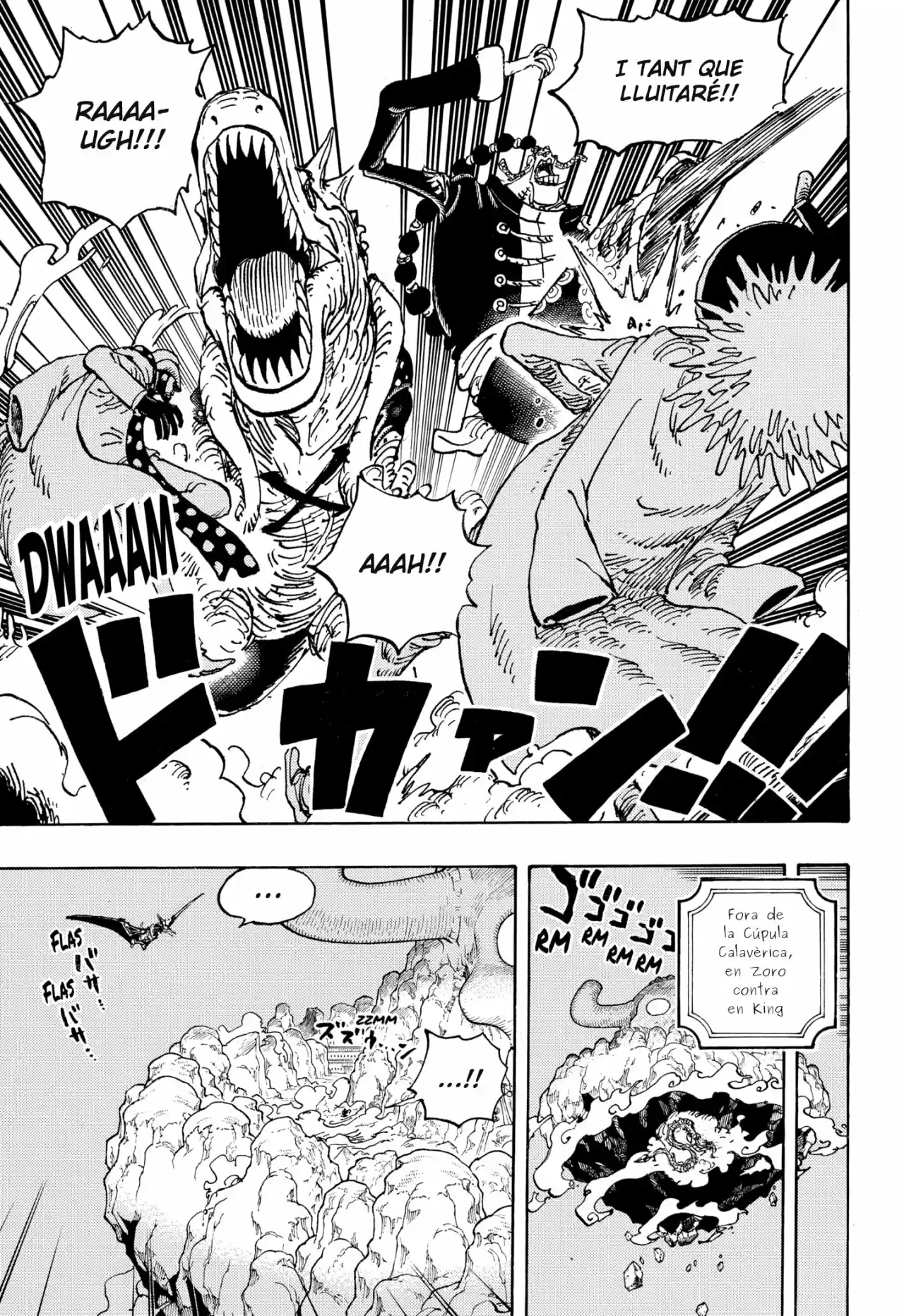 One Piece (Català) - Capítulo 1032 - Página 9 - LectorTMOo