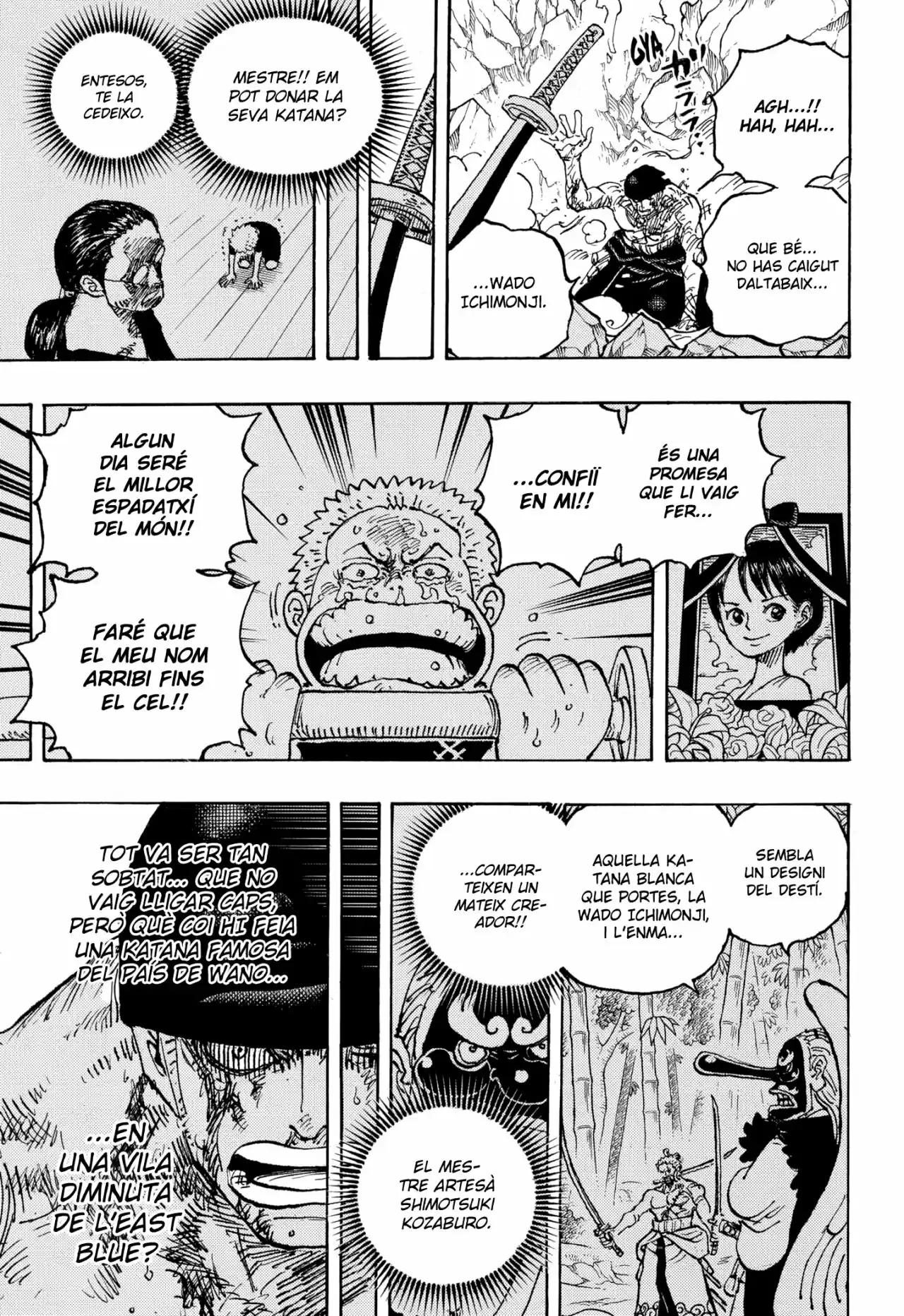One Piece (Català) - Capítulo 1033 - Página 8 - LectorTMOo