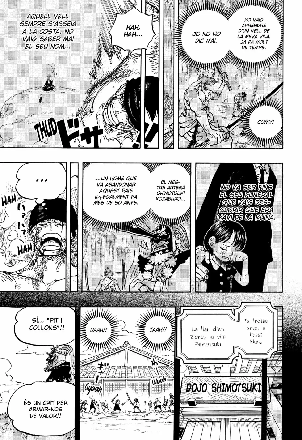 One Piece (Català) - Capítulo 1033 - Página 10 - LectorTMOo