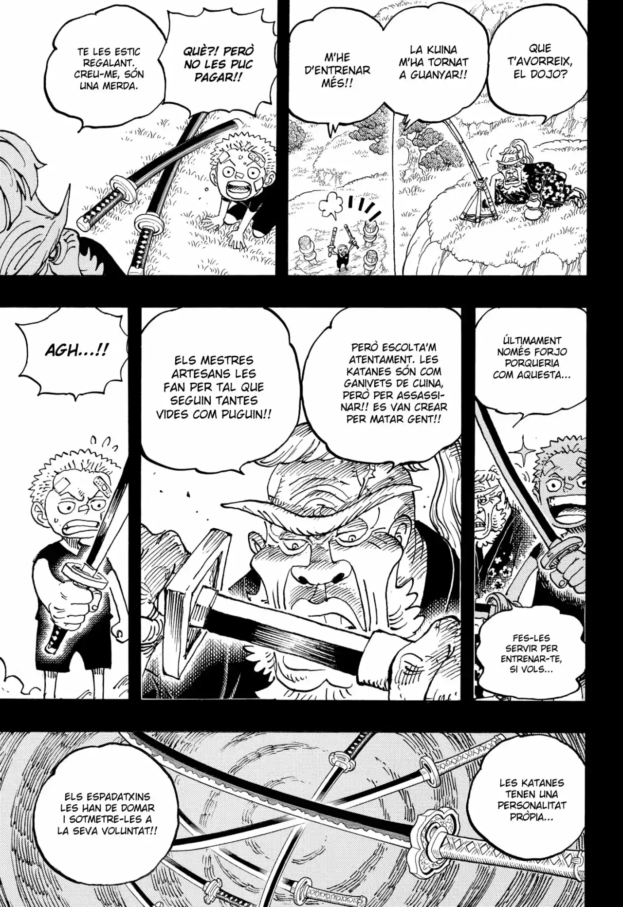 One Piece (Català) - Capítulo 1033 - Página 12 - LectorTMOo