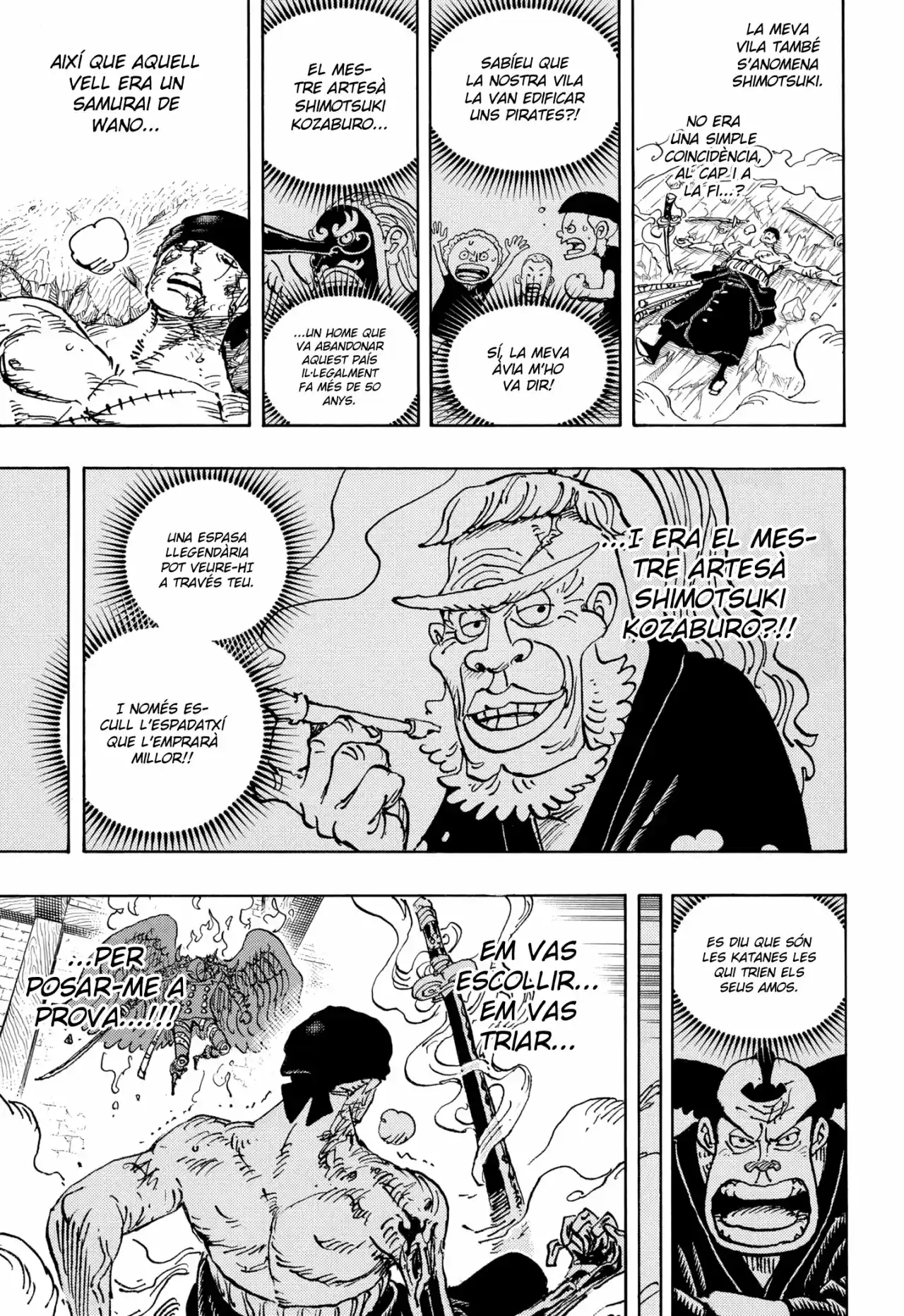 One Piece (Català) - Capítulo 1033 - Página 14 - LectorTMOo