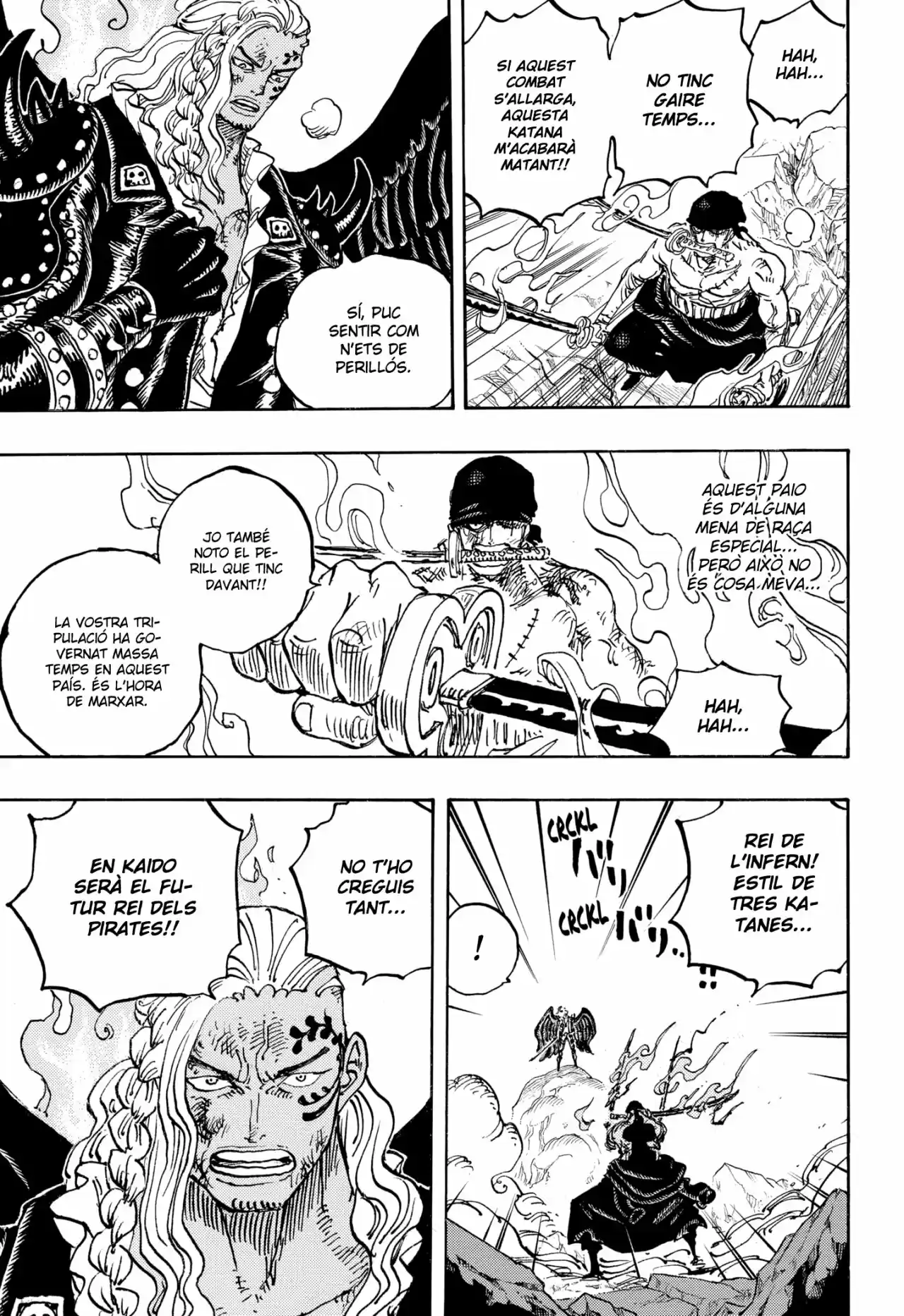 One Piece (Català) - Capítulo 1035 - Página 9 - LectorTMOo