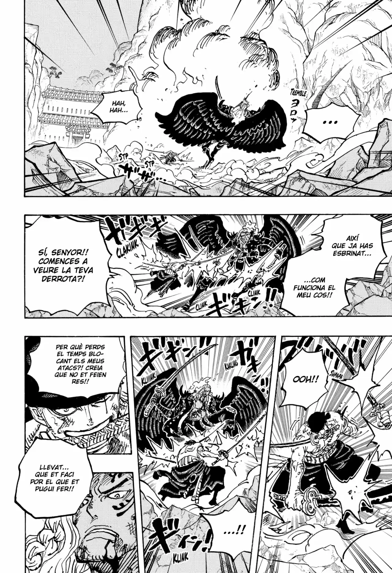 One Piece (Català) - Capítulo 1035 - Página 14 - LectorTMOo
