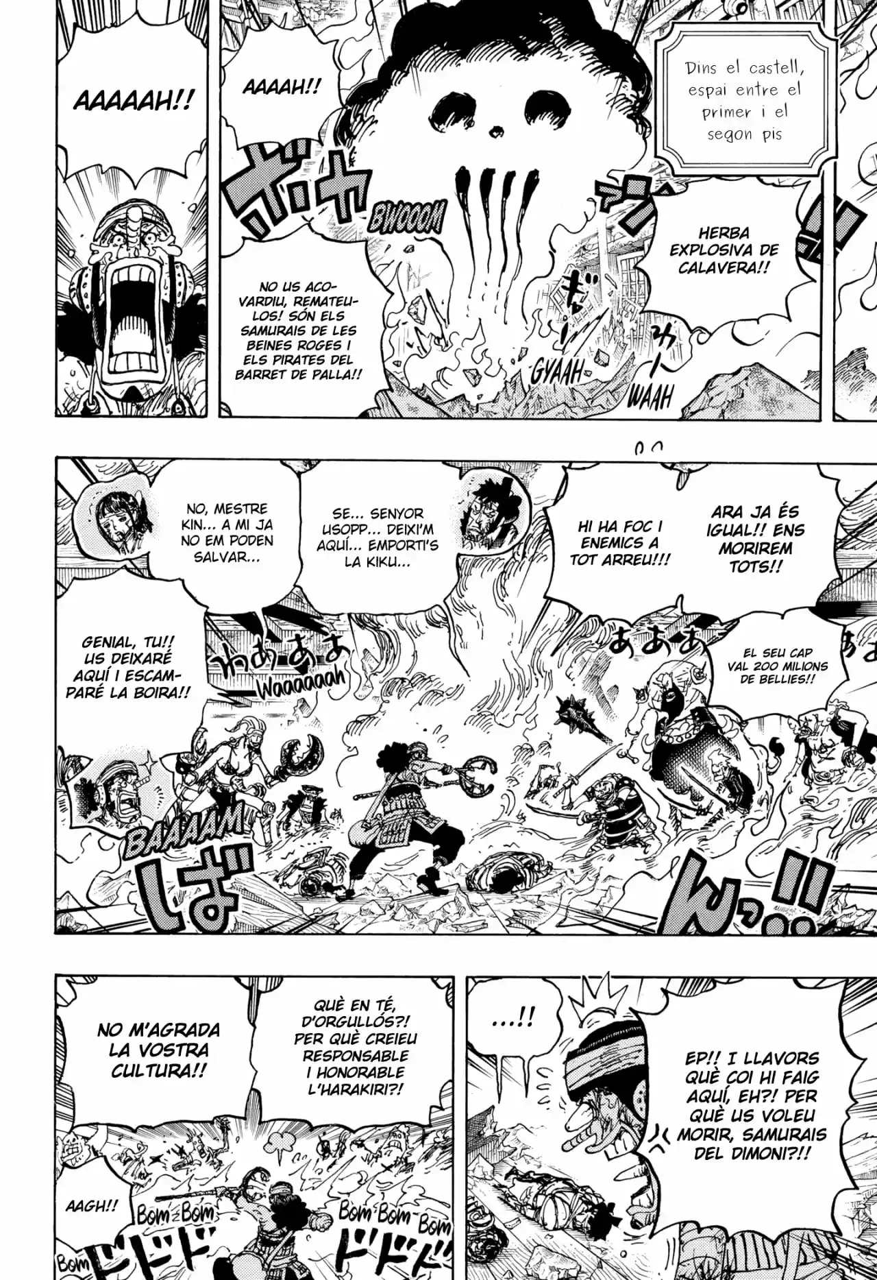 One Piece (Català) - Capítulo 1036 - Página 9 - LectorTMOo