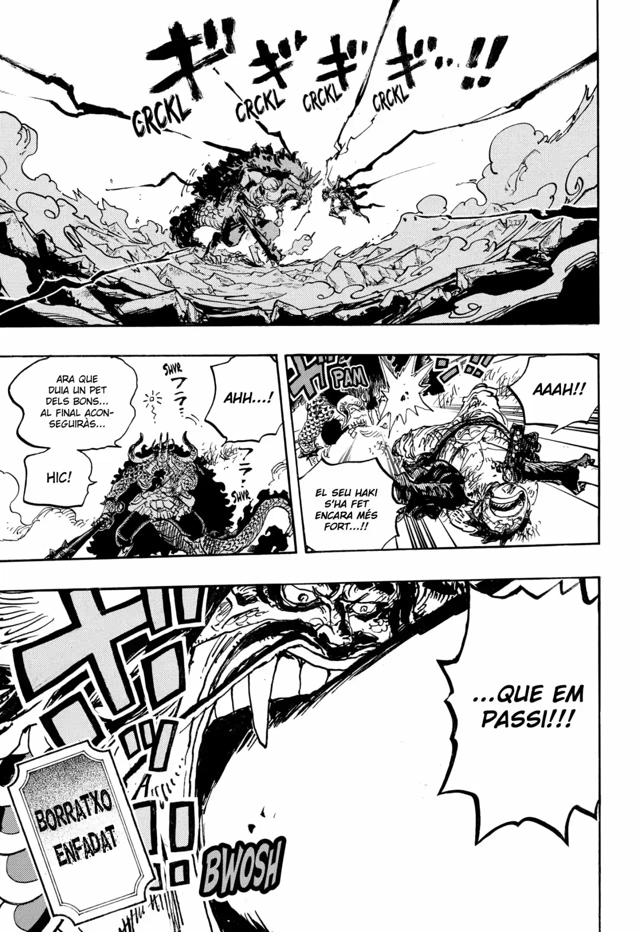 One Piece (Català) - Capítulo 1037 - Página 10 - LectorTMOo