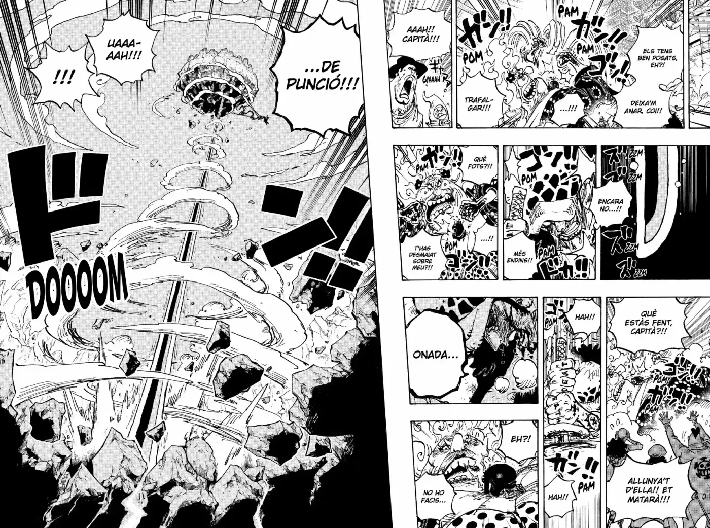 One Piece (Català) - Capítulo 1039 - Página 13 - LectorTMOo