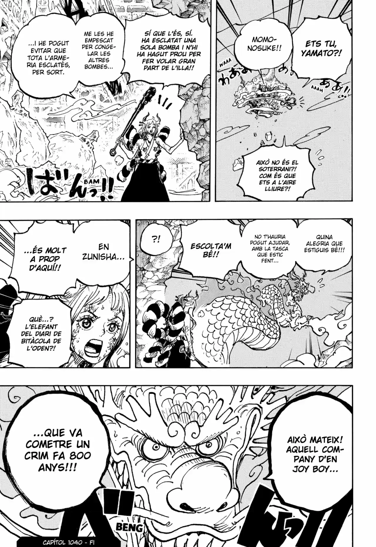 One Piece (Català) - Capítulo 1040 - Página 12 - LectorTMOo