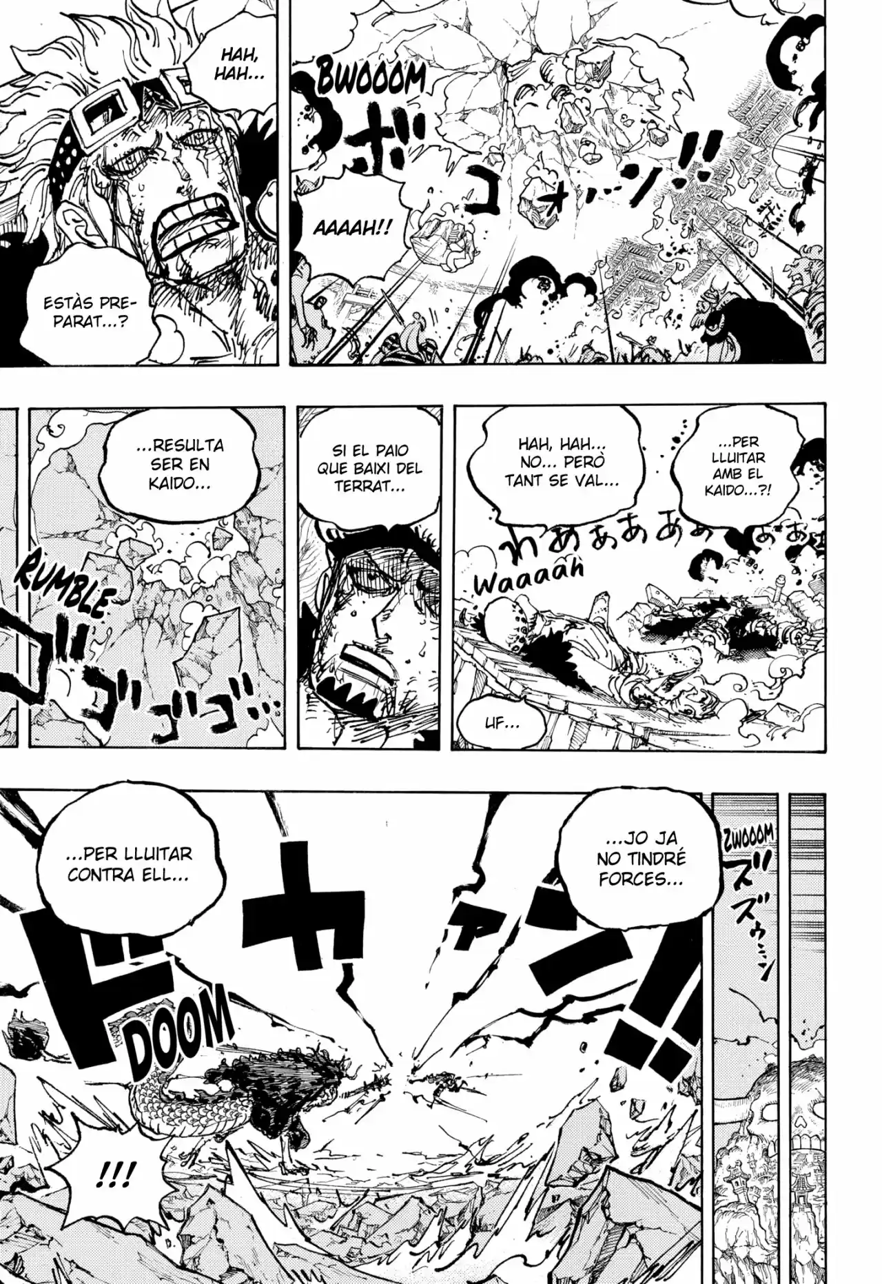 One Piece (Català) - Capítulo 1041 - Página 13 - LectorTMOo