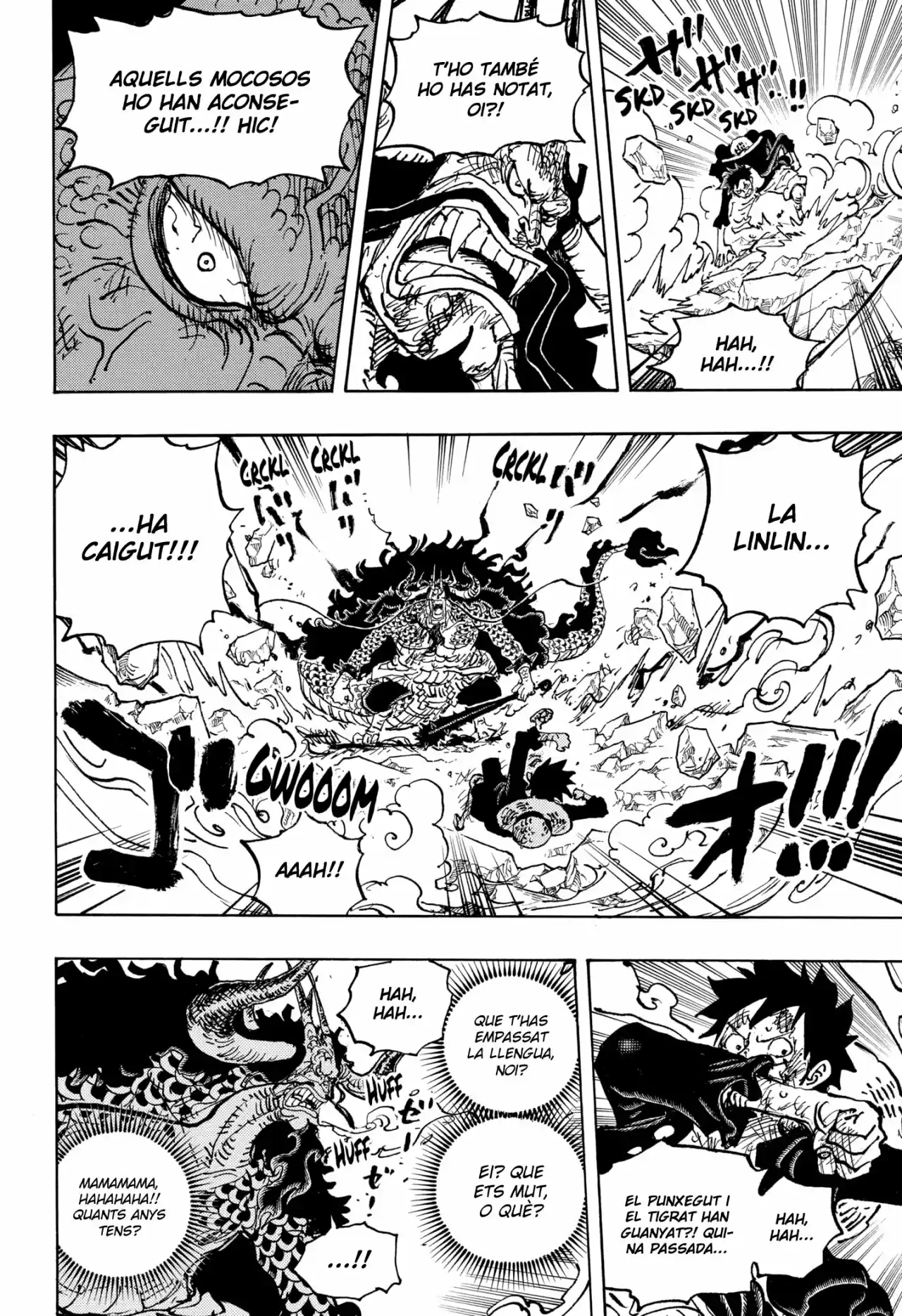 One Piece (Català) - Capítulo 1041 - Página 14 - LectorTMOo