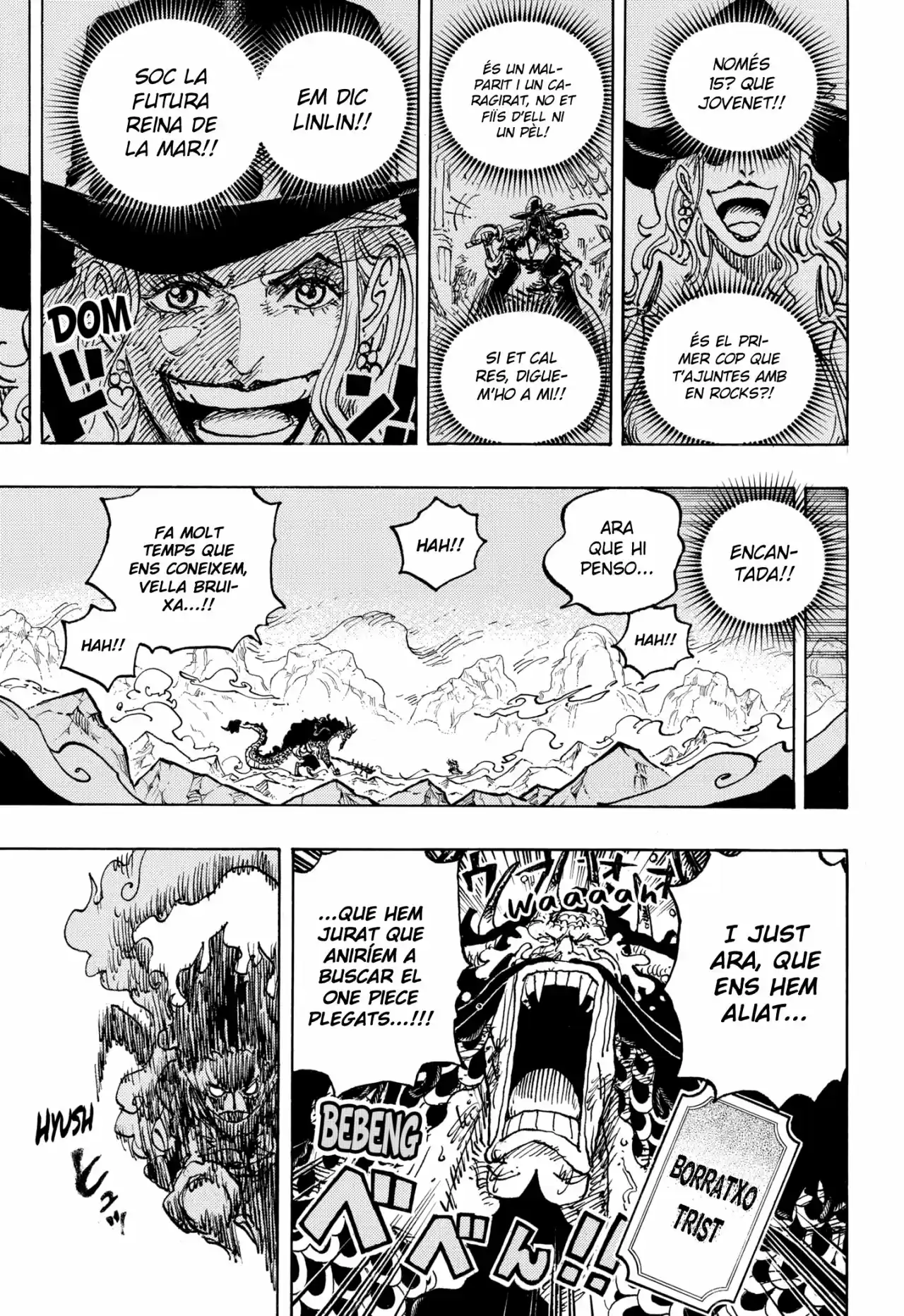 One Piece (Català) - Capítulo 1041 - Página 15 - LectorTMOo