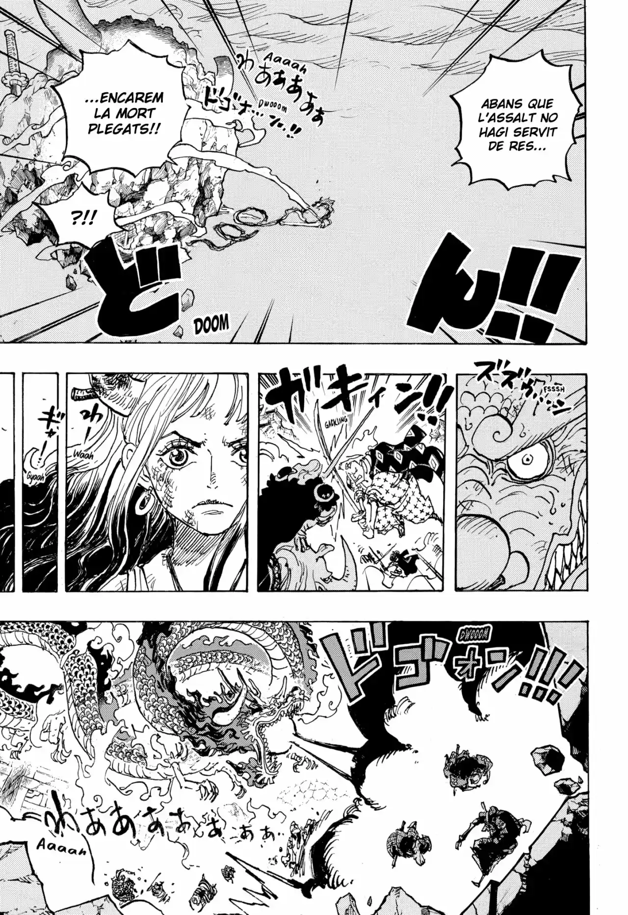 One Piece (Català) - Capítulo 1043 - Página 13 - LectorTMOo