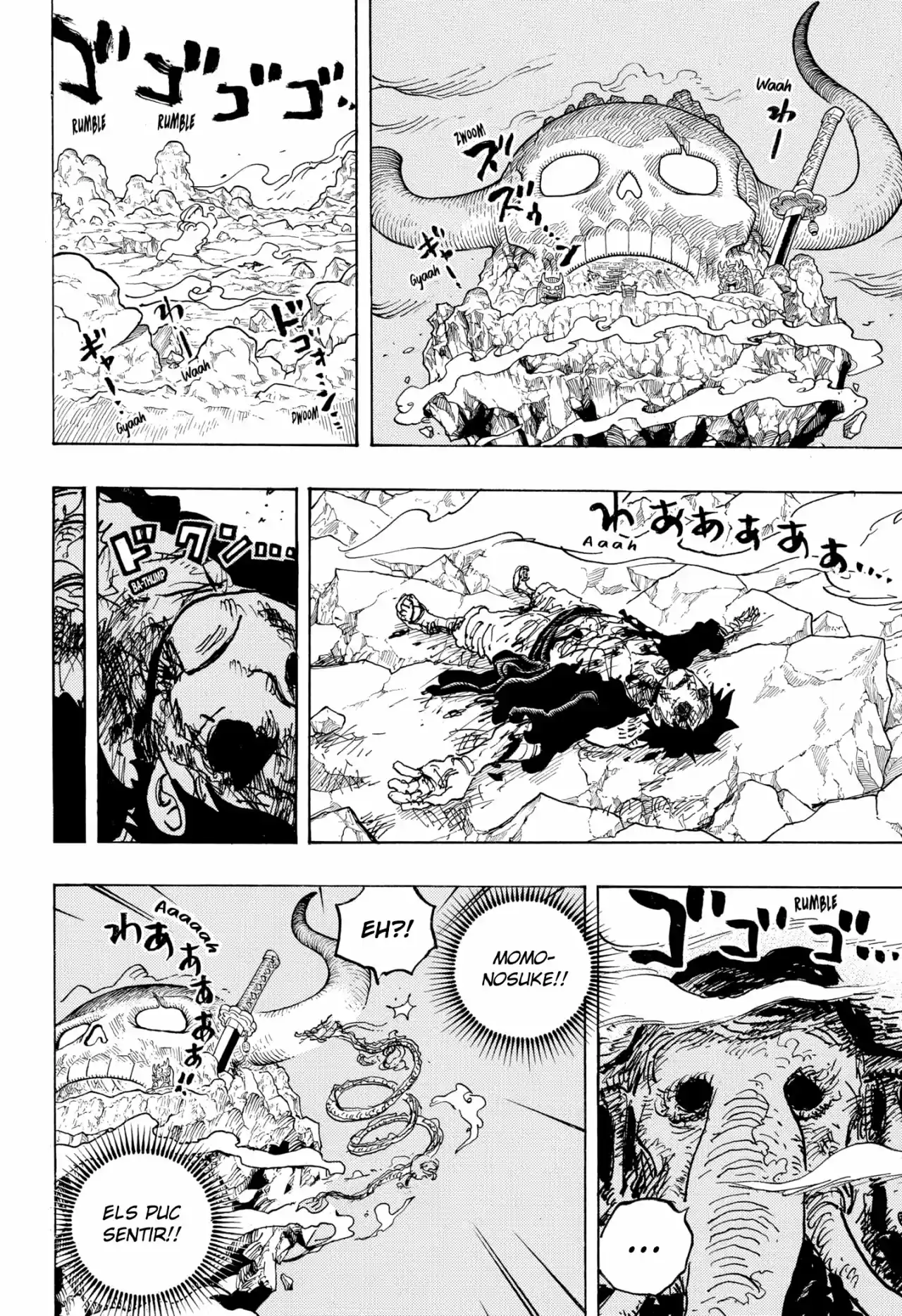 One Piece (Català) - Capítulo 1043 - Página 14 - LectorTMOo