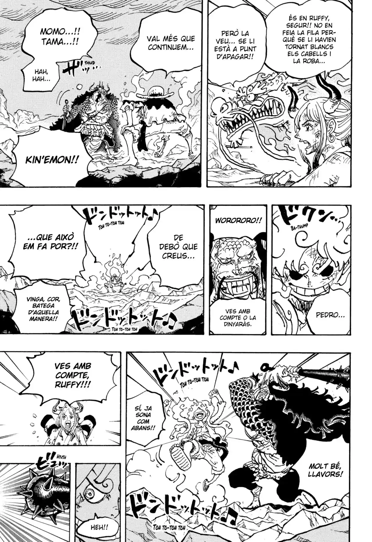 One Piece (Català) - Capítulo 1045 - Página 14 - LectorTMOo