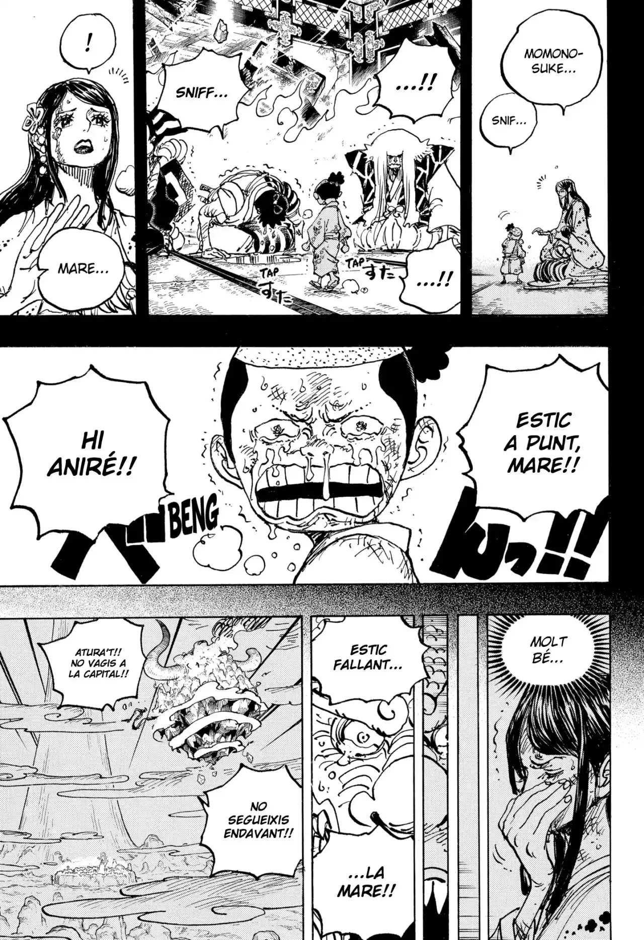 One Piece (Català) - Capítulo 1047 - Página 5 - LectorTMOo