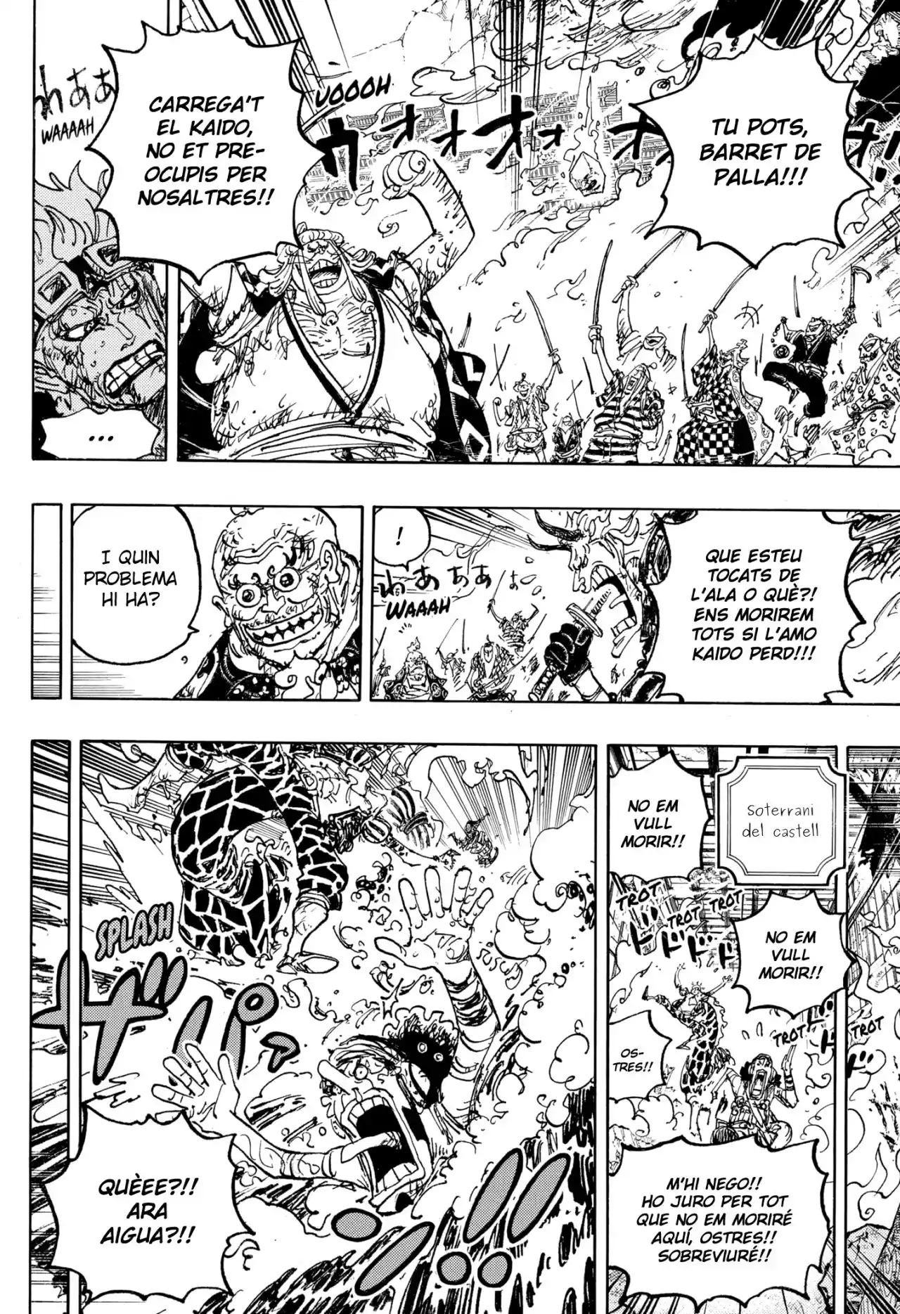 One Piece (Català) - Capítulo 1047 - Página 15 - LectorTMOo