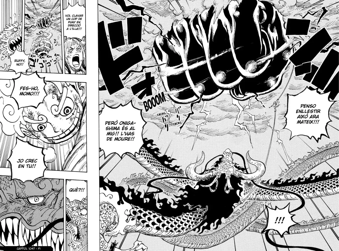 One Piece (Català) - Capítulo 1047 - Página 17 - LectorTMOo