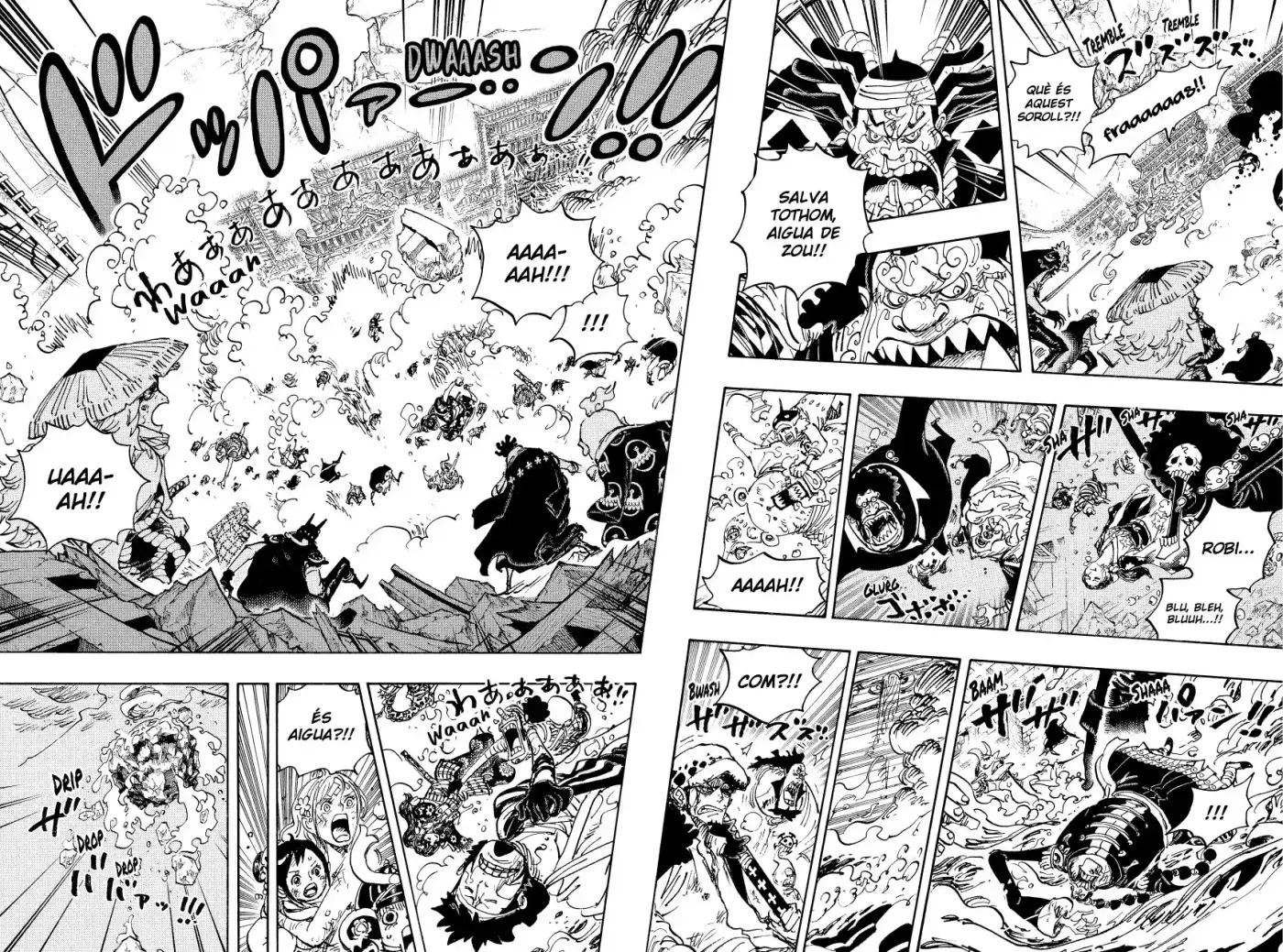 One Piece (Català) - Capítulo 1049 - Página 8 - LectorTMOo