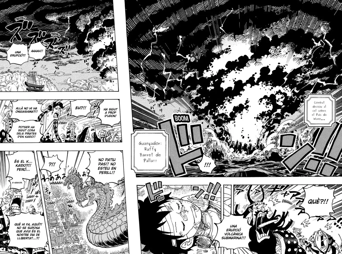 One Piece (Català) - Capítulo 1050 - Página 12 - LectorTMOo