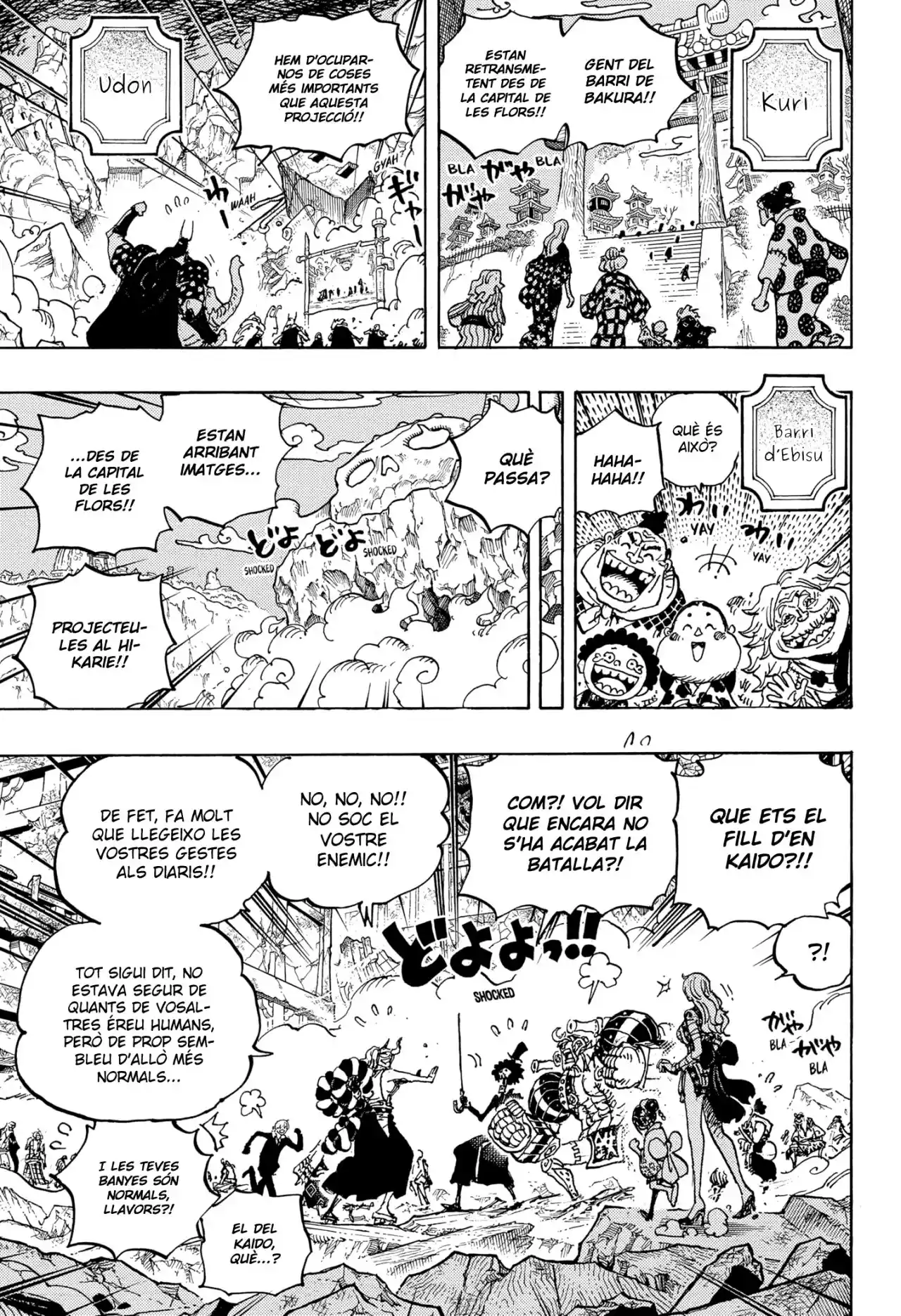 One Piece (Català) - Capítulo 1051 - Página 5 - LectorTMOo