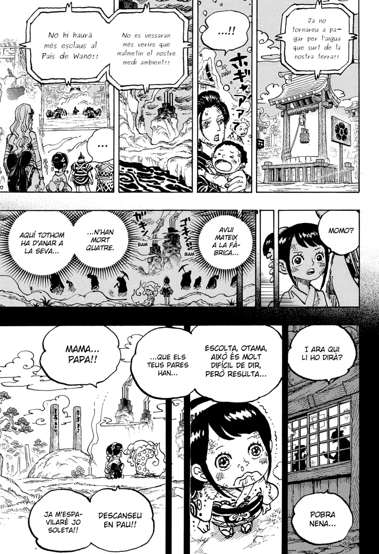 One Piece (Català) - Capítulo 1051 - Página 9 - LectorTMOo