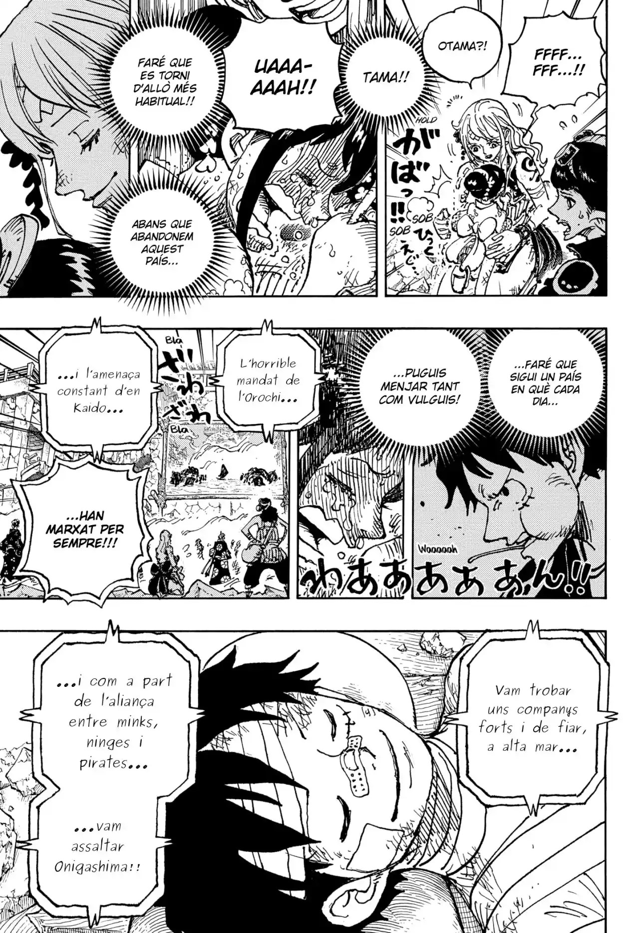 One Piece (Català) - Capítulo 1051 - Página 11 - LectorTMOo