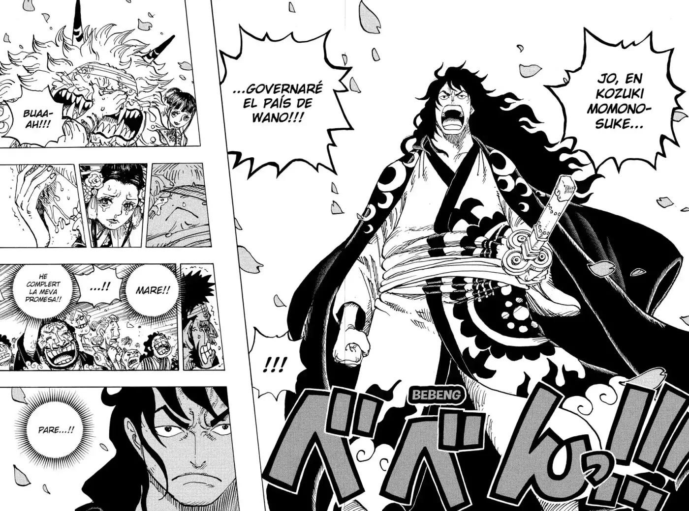 One Piece (Català) - Capítulo 1051 - Página 14 - LectorTMOo