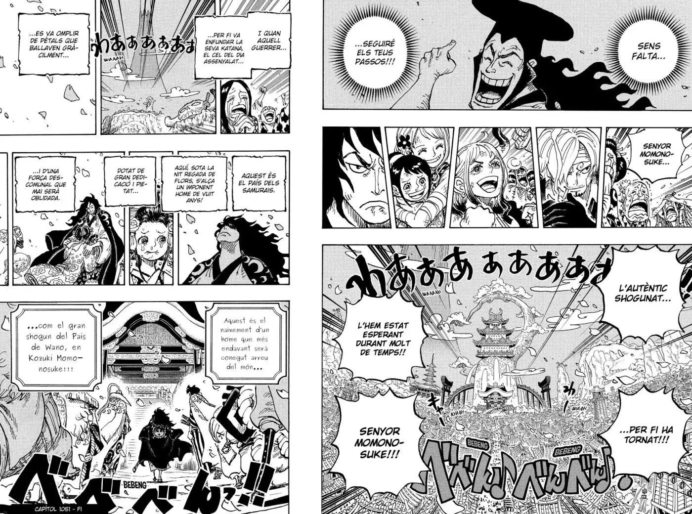 One Piece (Català) - Capítulo 1051 - Página 15 - LectorTMOo