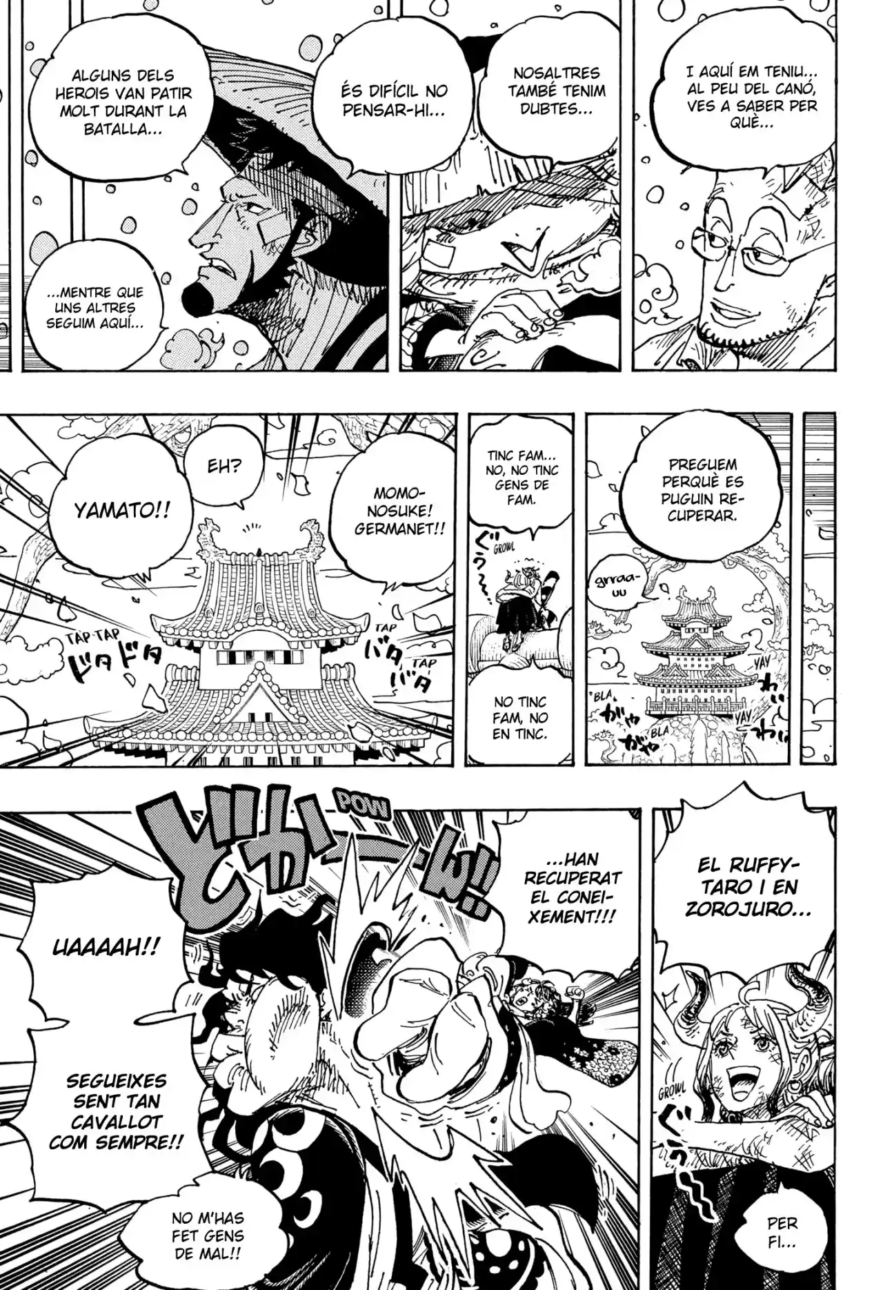 One Piece (Català) - Capítulo 1052 - Página 9 - LectorTMOo