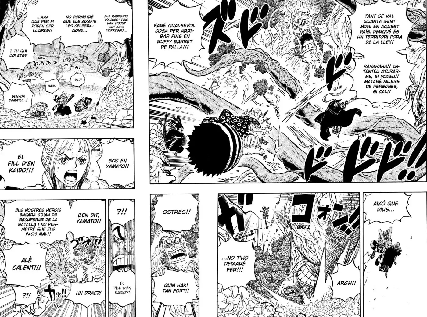One Piece (Català) - Capítulo 1054 - Página 5 - LectorTMOo