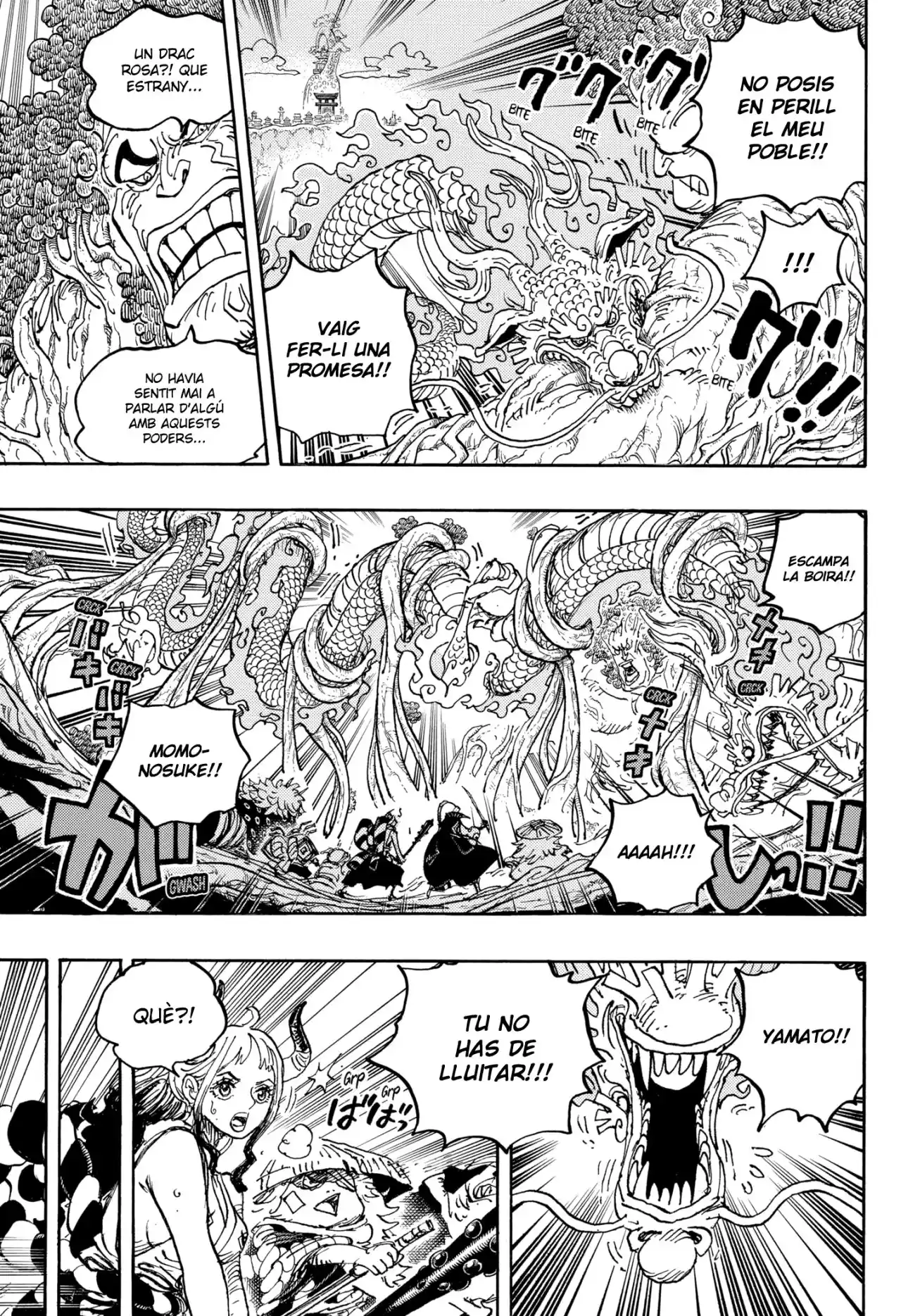 One Piece (Català) - Capítulo 1054 - Página 7 - LectorTMOo
