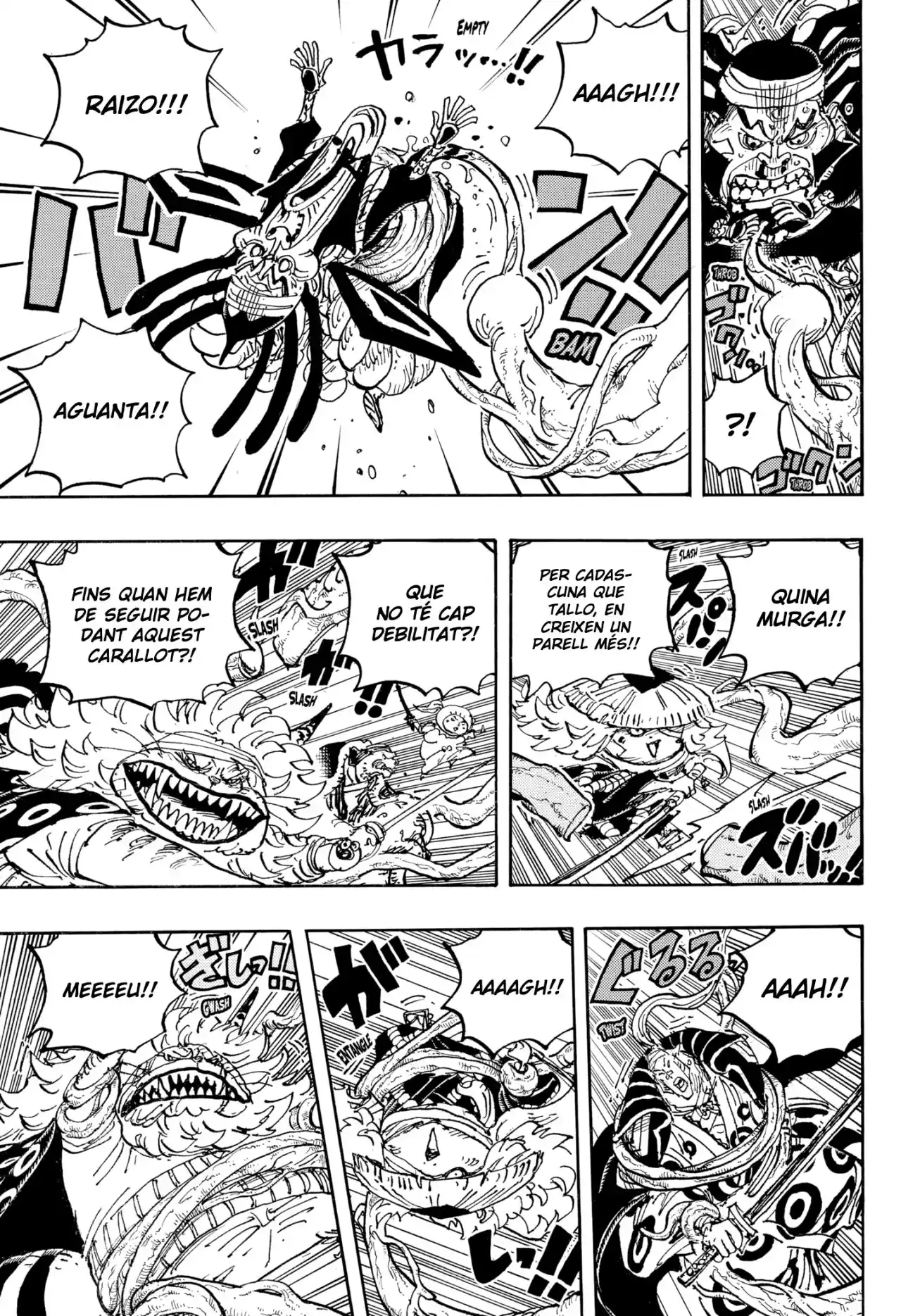 One Piece (Català) - Capítulo 1055 - Página 5 - LectorTMOo