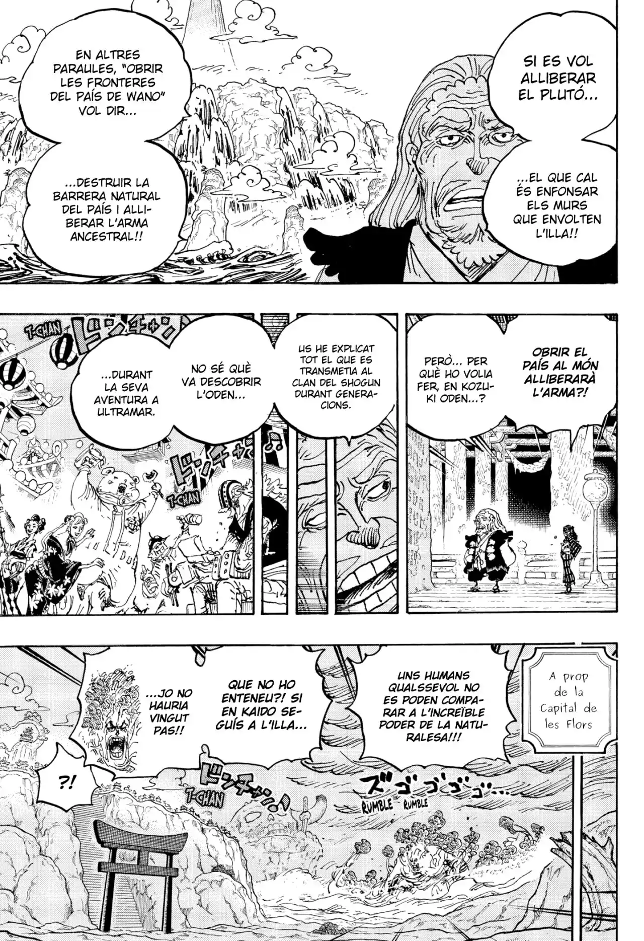 One Piece (Català) - Capítulo 1055 - Página 10 - LectorTMOo