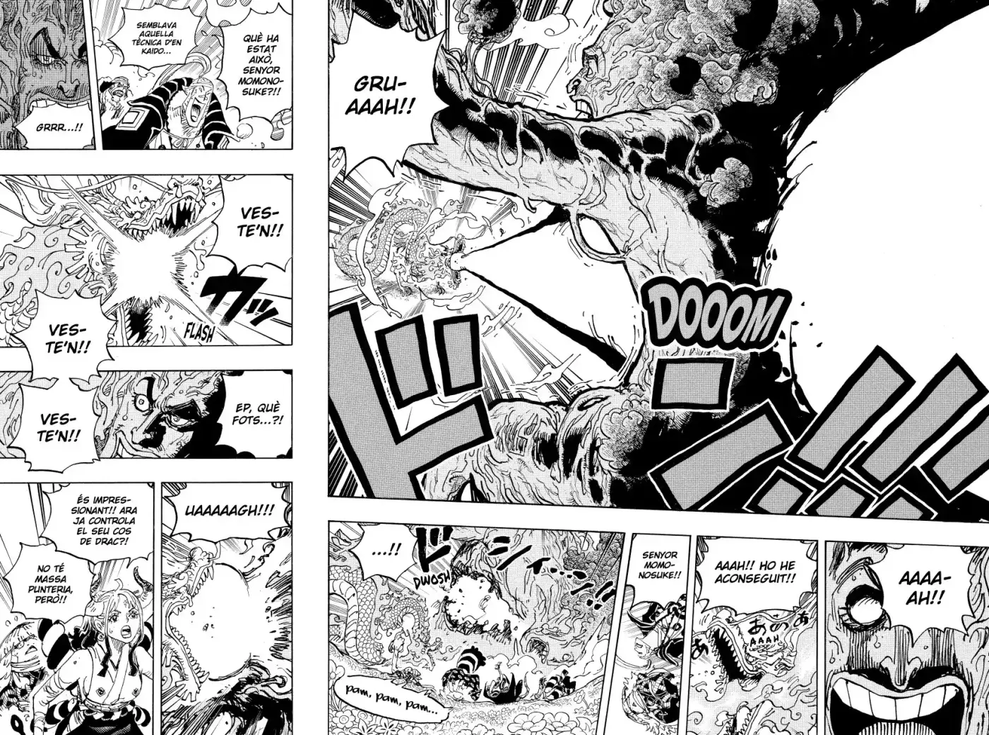 One Piece (Català) - Capítulo 1055 - Página 13 - LectorTMOo