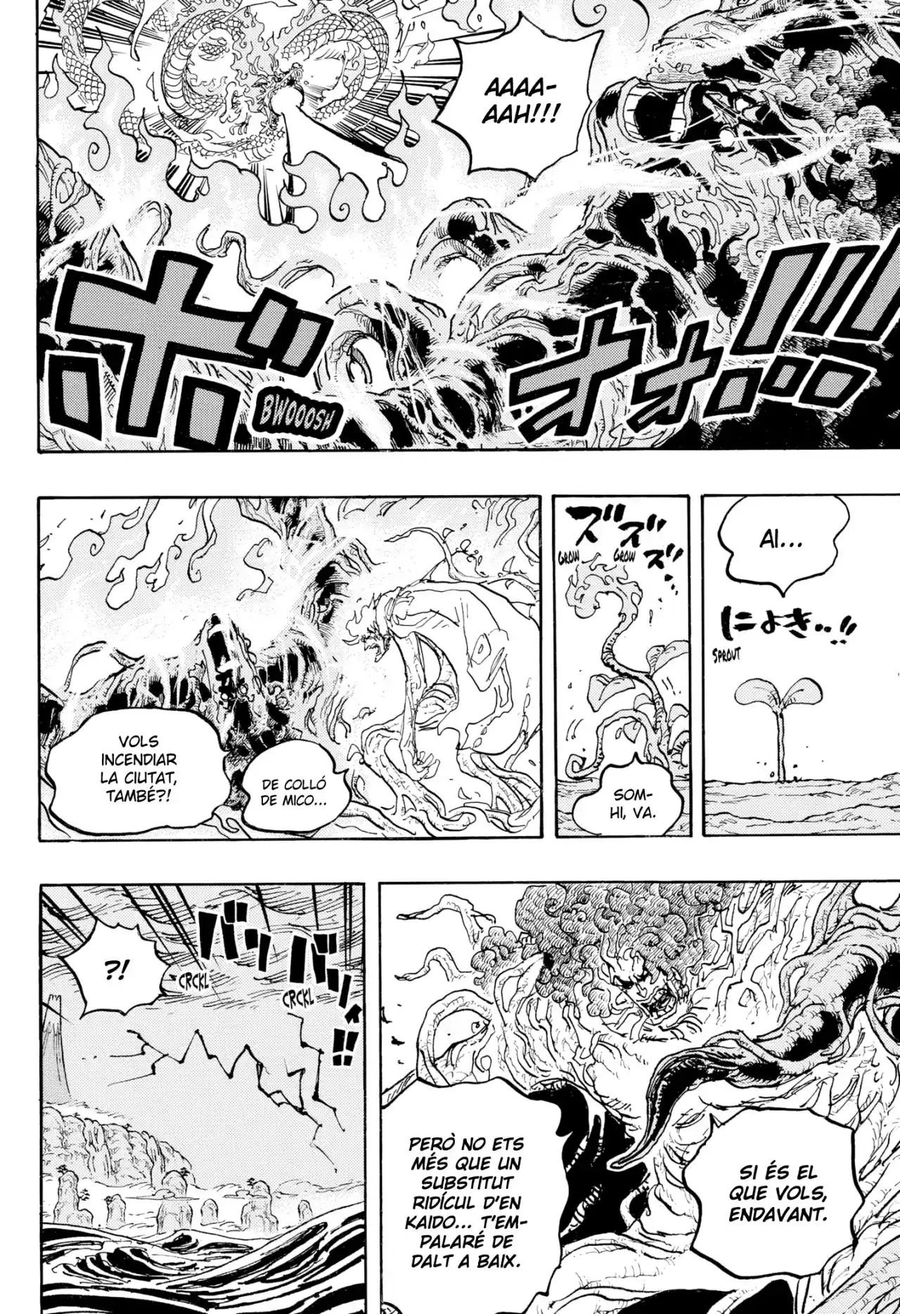 One Piece (Català) - Capítulo 1055 - Página 14 - LectorTMOo
