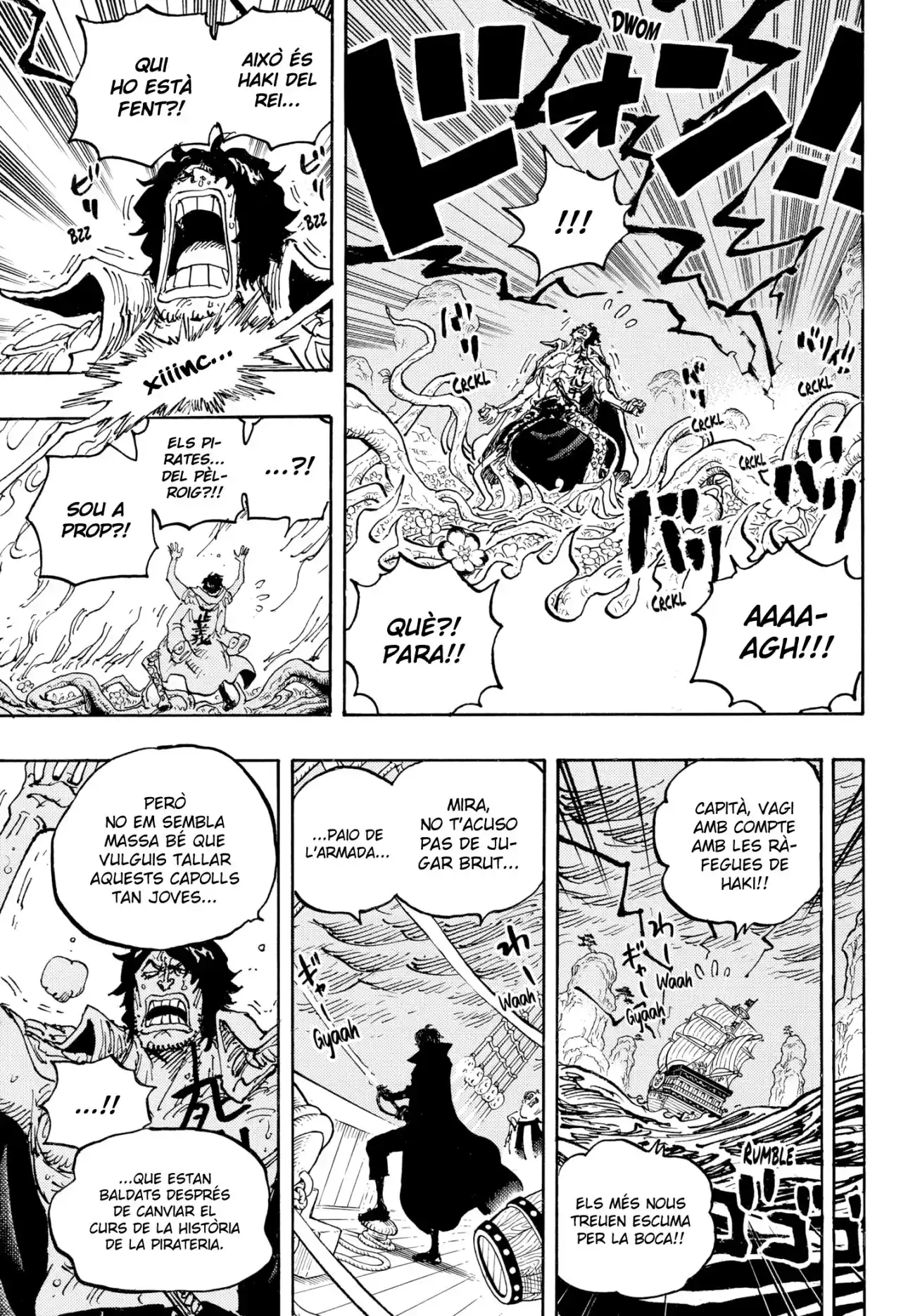One Piece (Català) - Capítulo 1055 - Página 15 - LectorTMOo