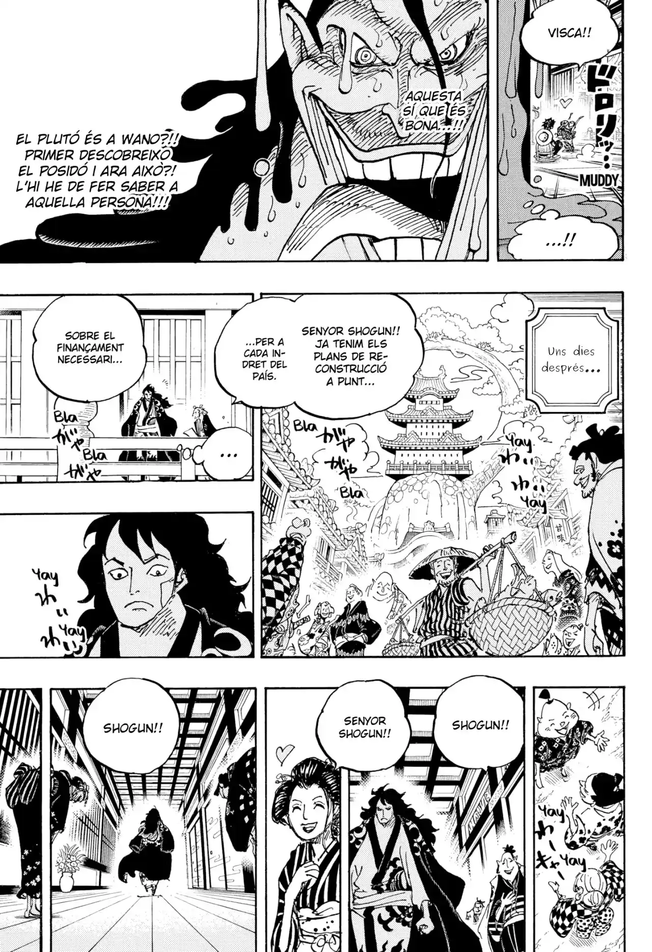 One Piece (Català) - Capítulo 1056 - Página 9 - LectorTMOo