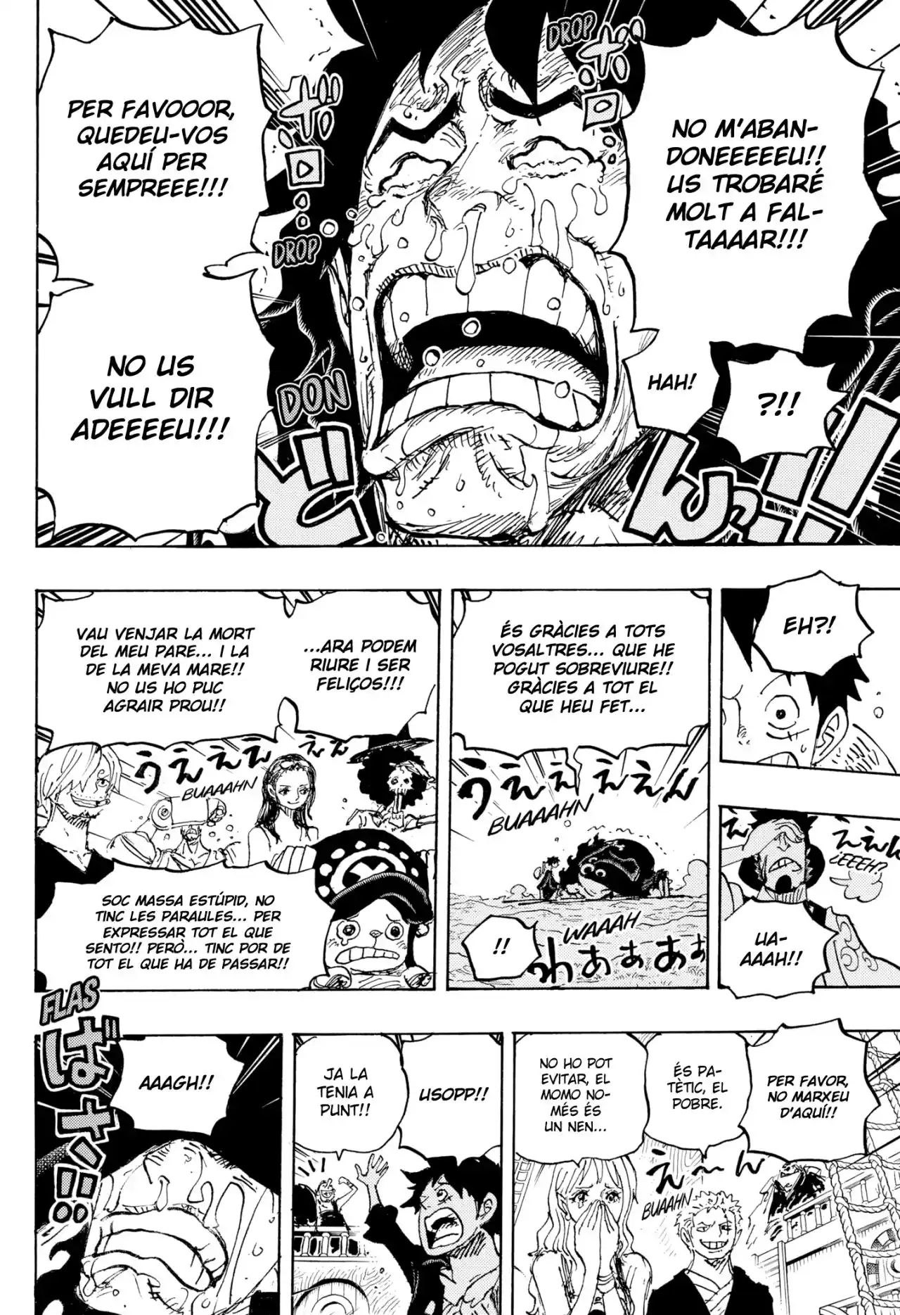 One Piece (Català) - Capítulo 1057 - Página 8 - LectorTMOo