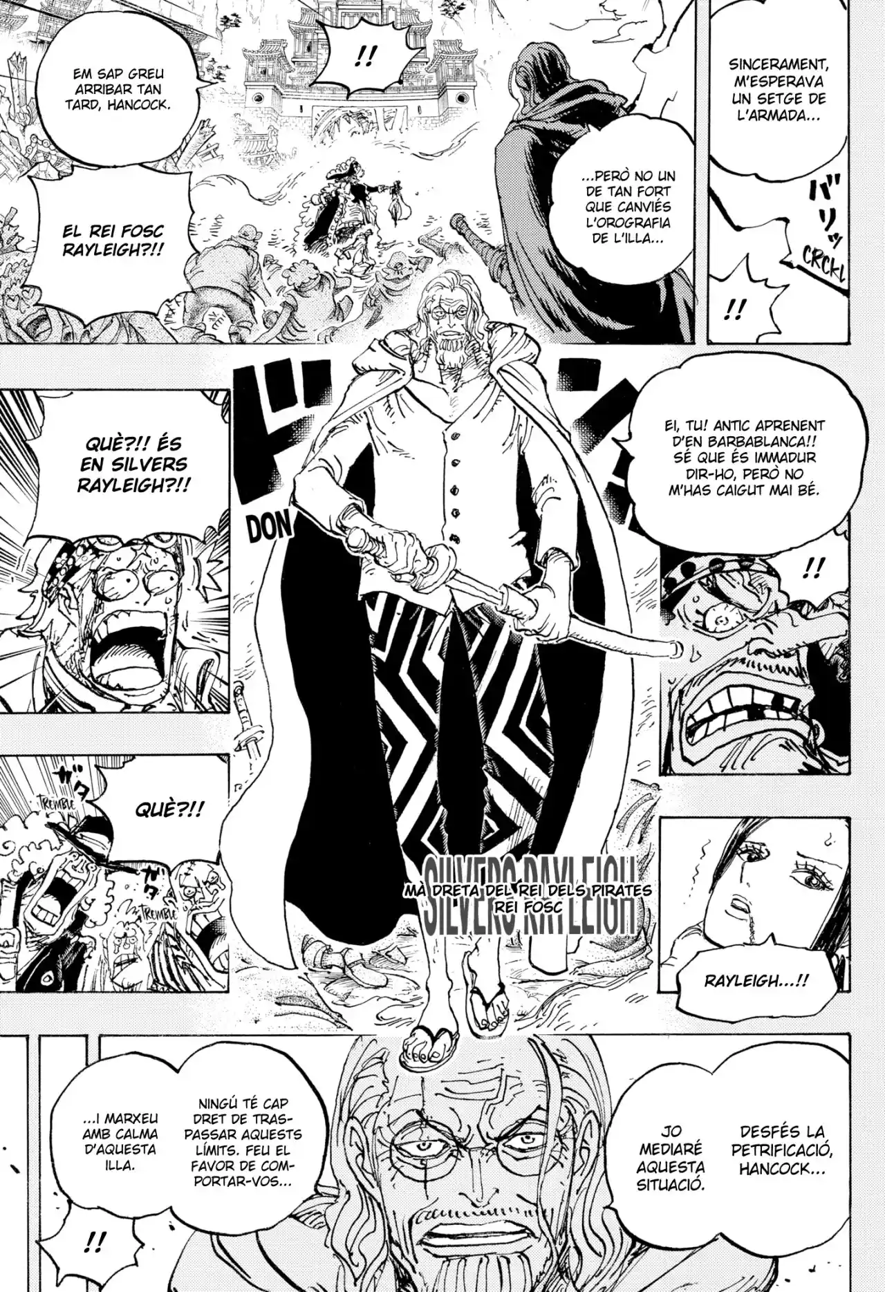 One Piece (Català) - Capítulo 1059 - Página 14 - LectorTMOo
