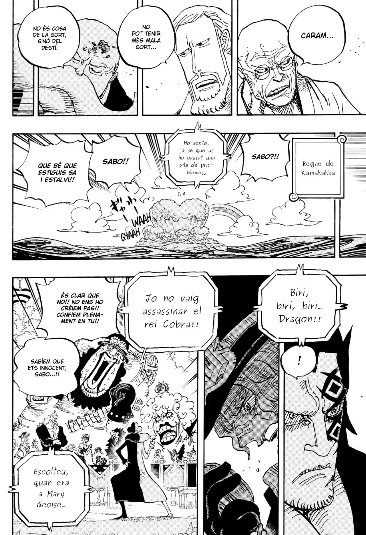 One Piece (Català) - Capítulo 1060 - Página 11 - LectorTMOo