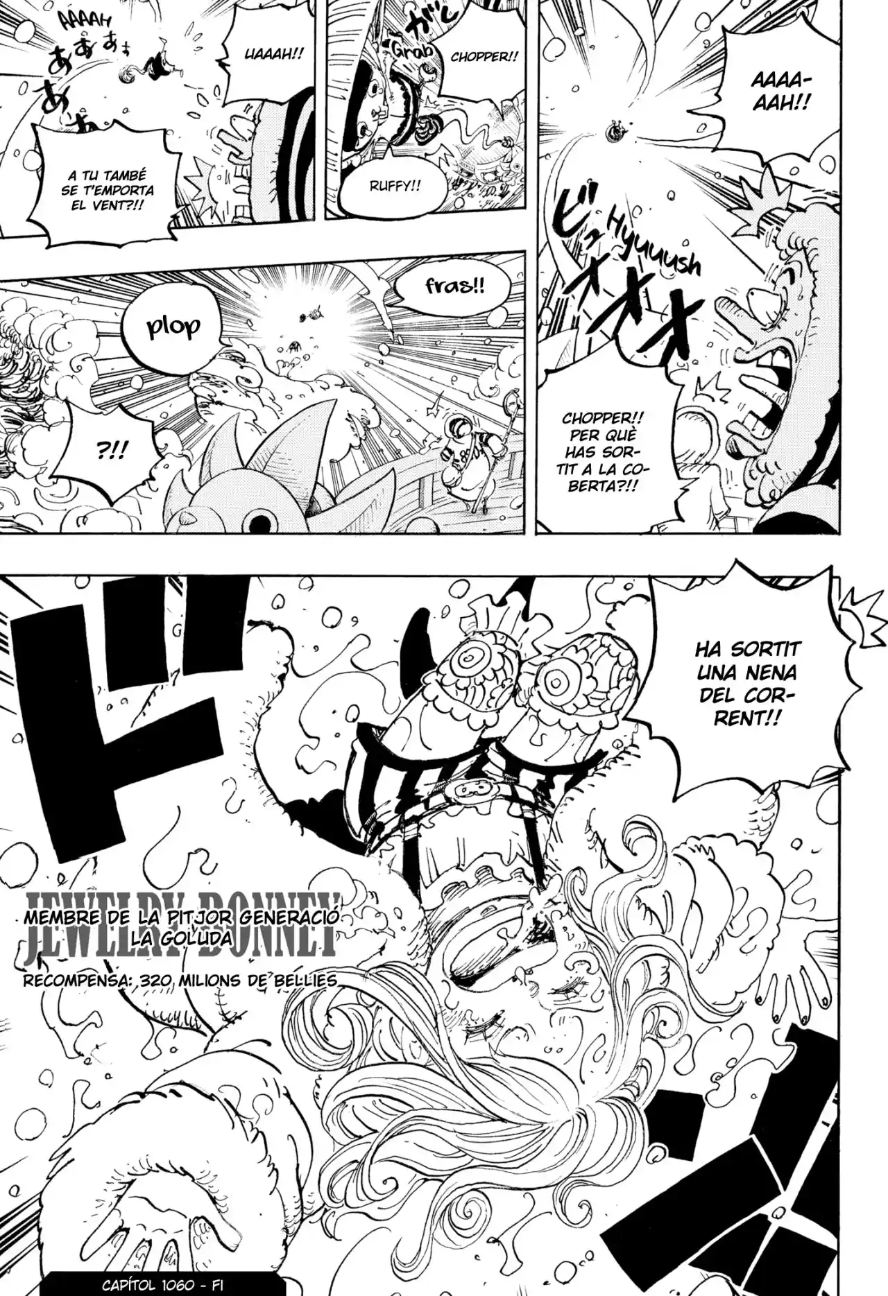 One Piece (Català) - Capítulo 1060 - Página 17 - LectorTMOo