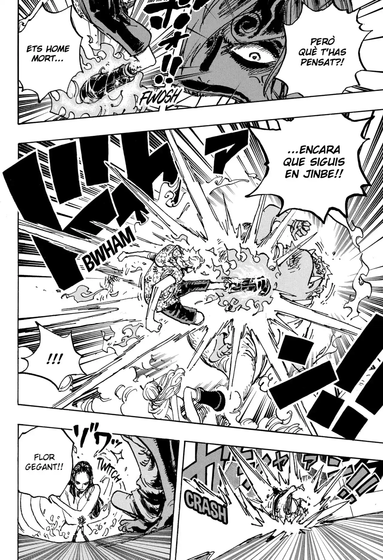 One Piece (Català) - Capítulo 1065 - Página 9 - LectorTMOo