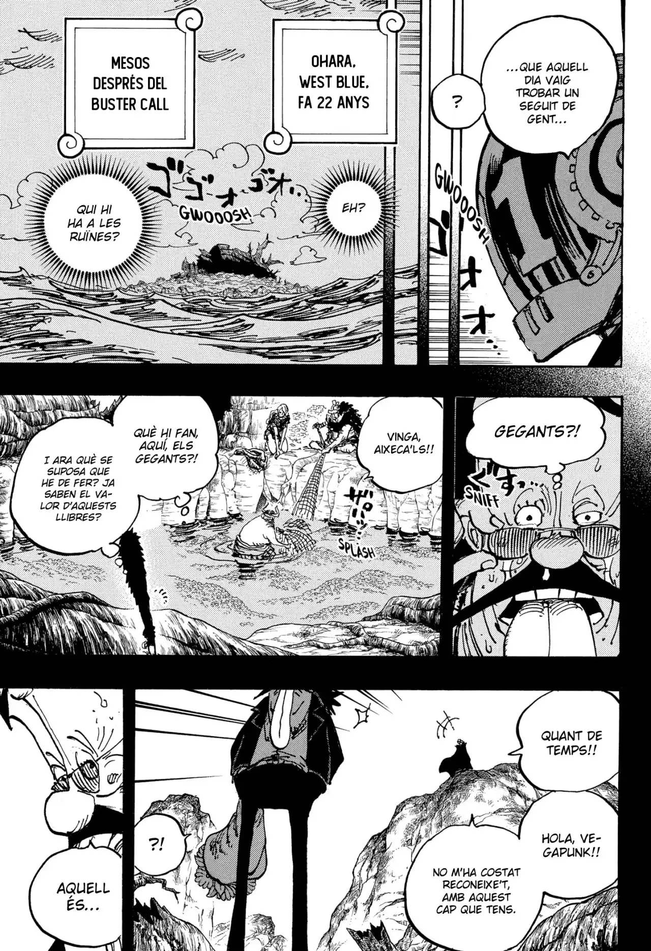 One Piece (Català) - Capítulo 1066 - Página 9 - LectorTMOo
