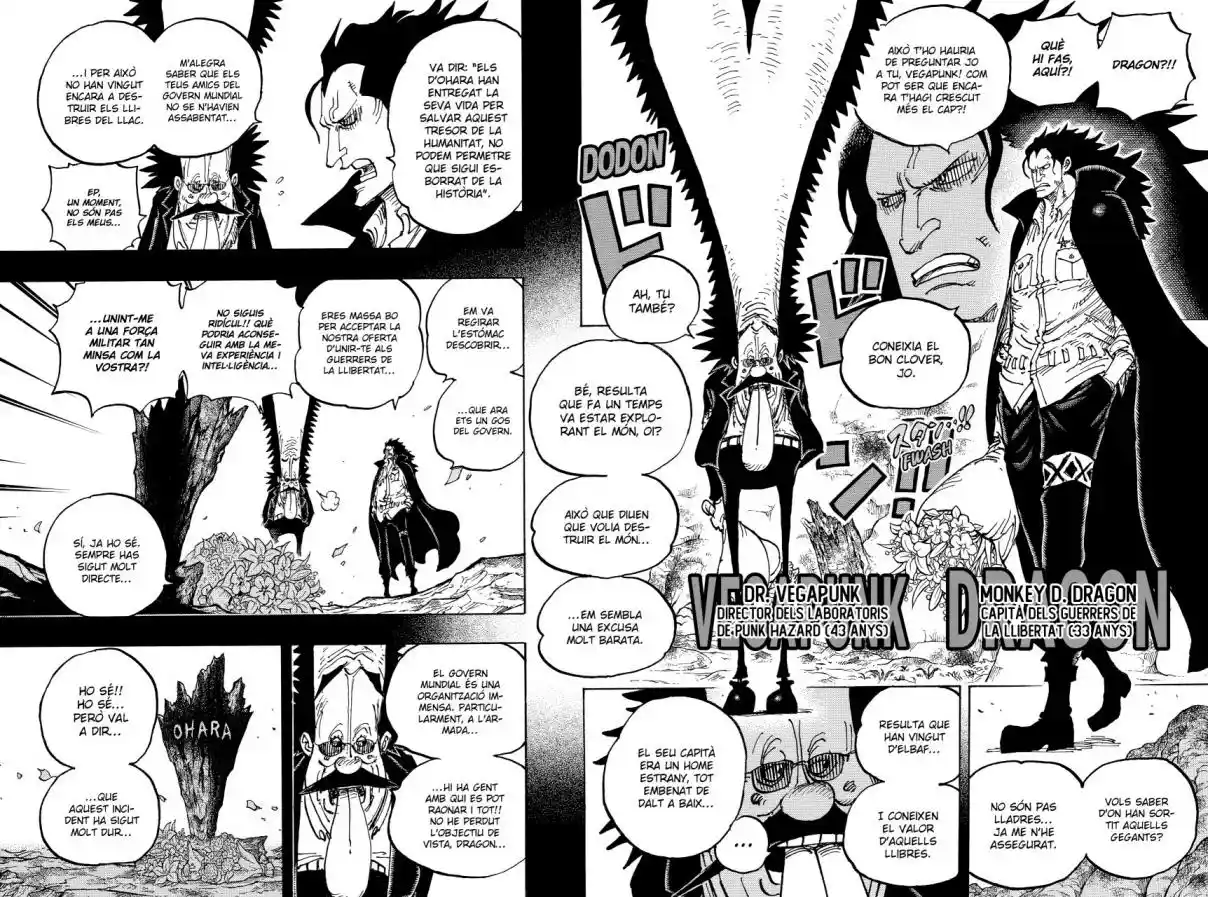 One Piece (Català) - Capítulo 1066 - Página 10 - LectorTMOo