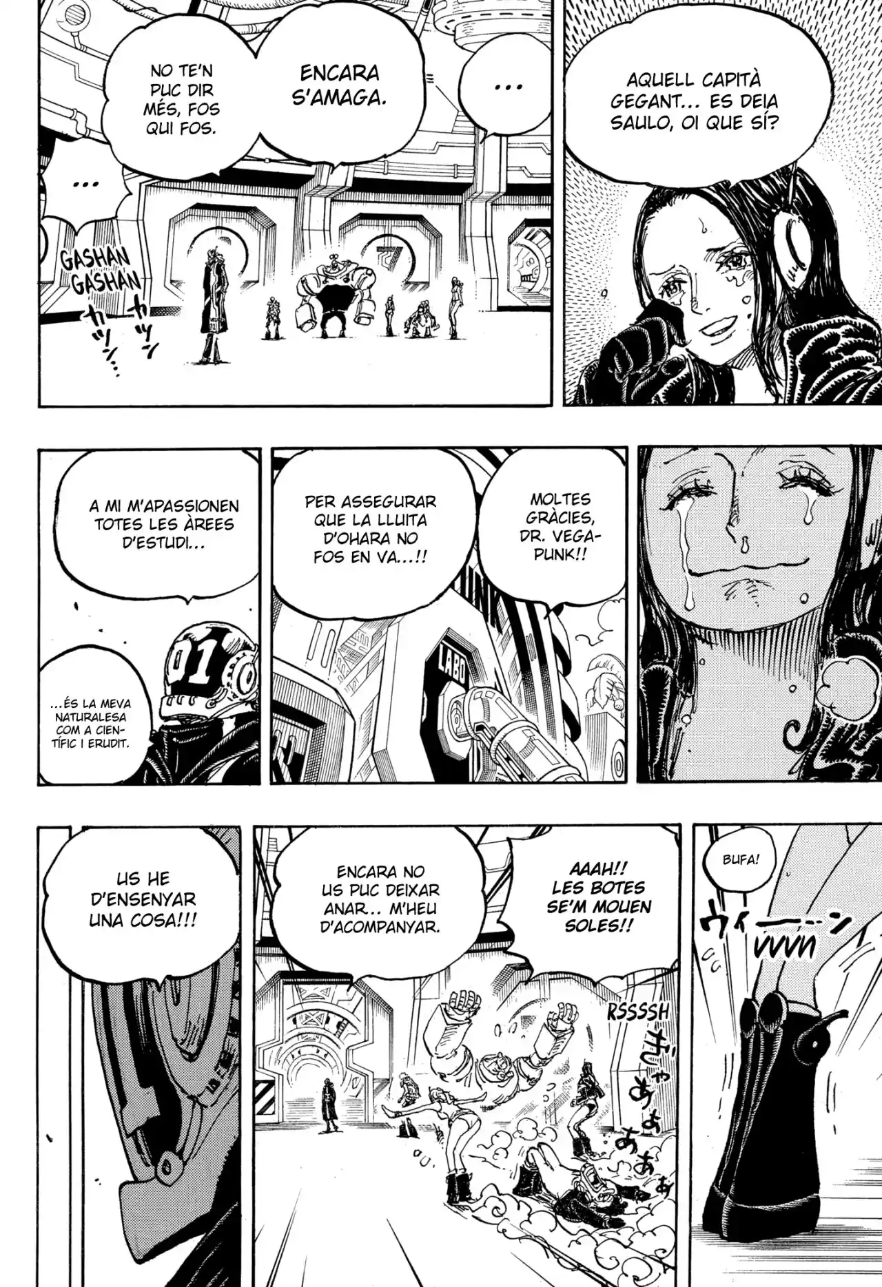 One Piece (Català) - Capítulo 1066 - Página 13 - LectorTMOo