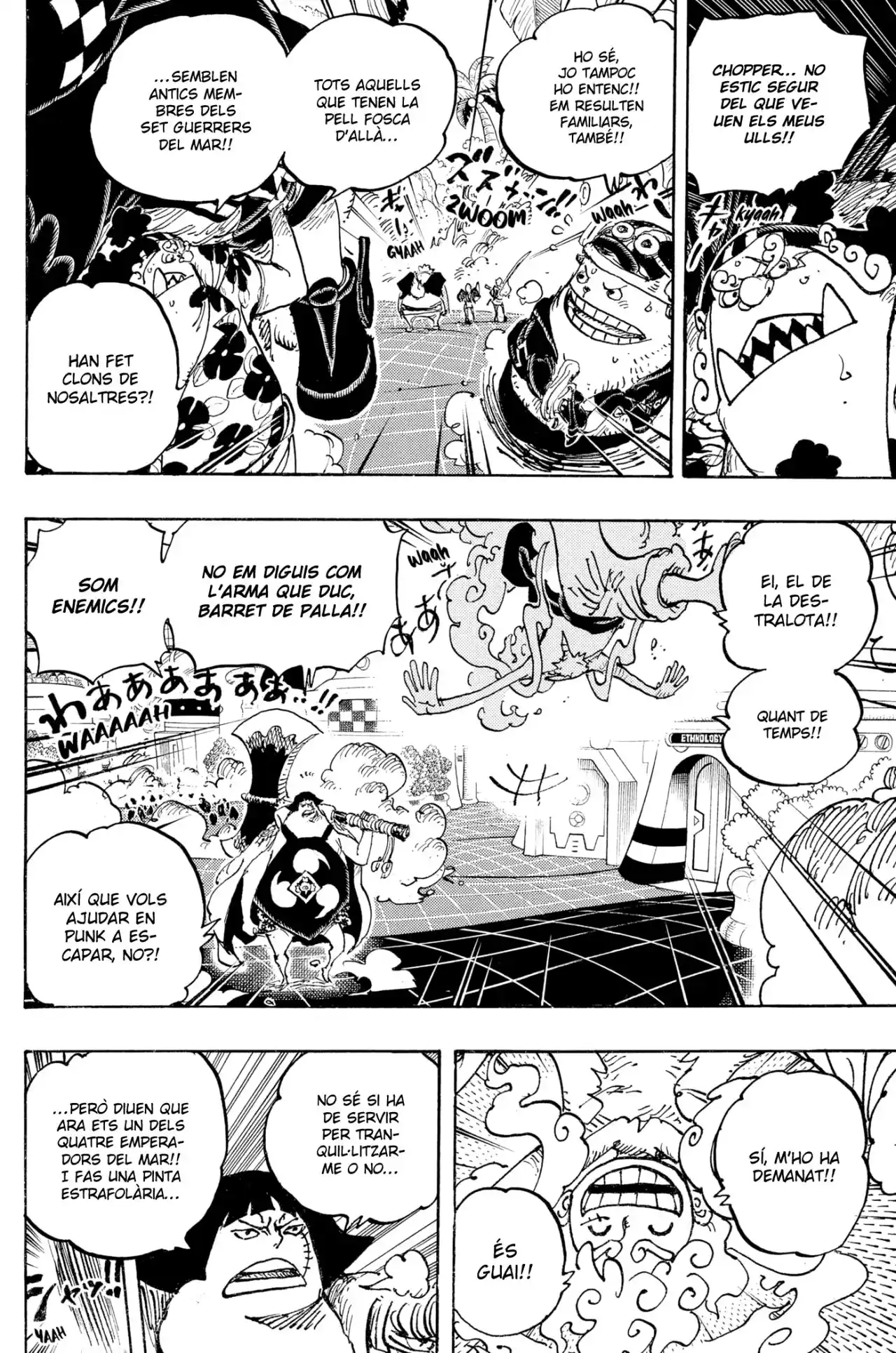 One Piece (Català) - Capítulo 1069 - Página 13 - LectorTMOo