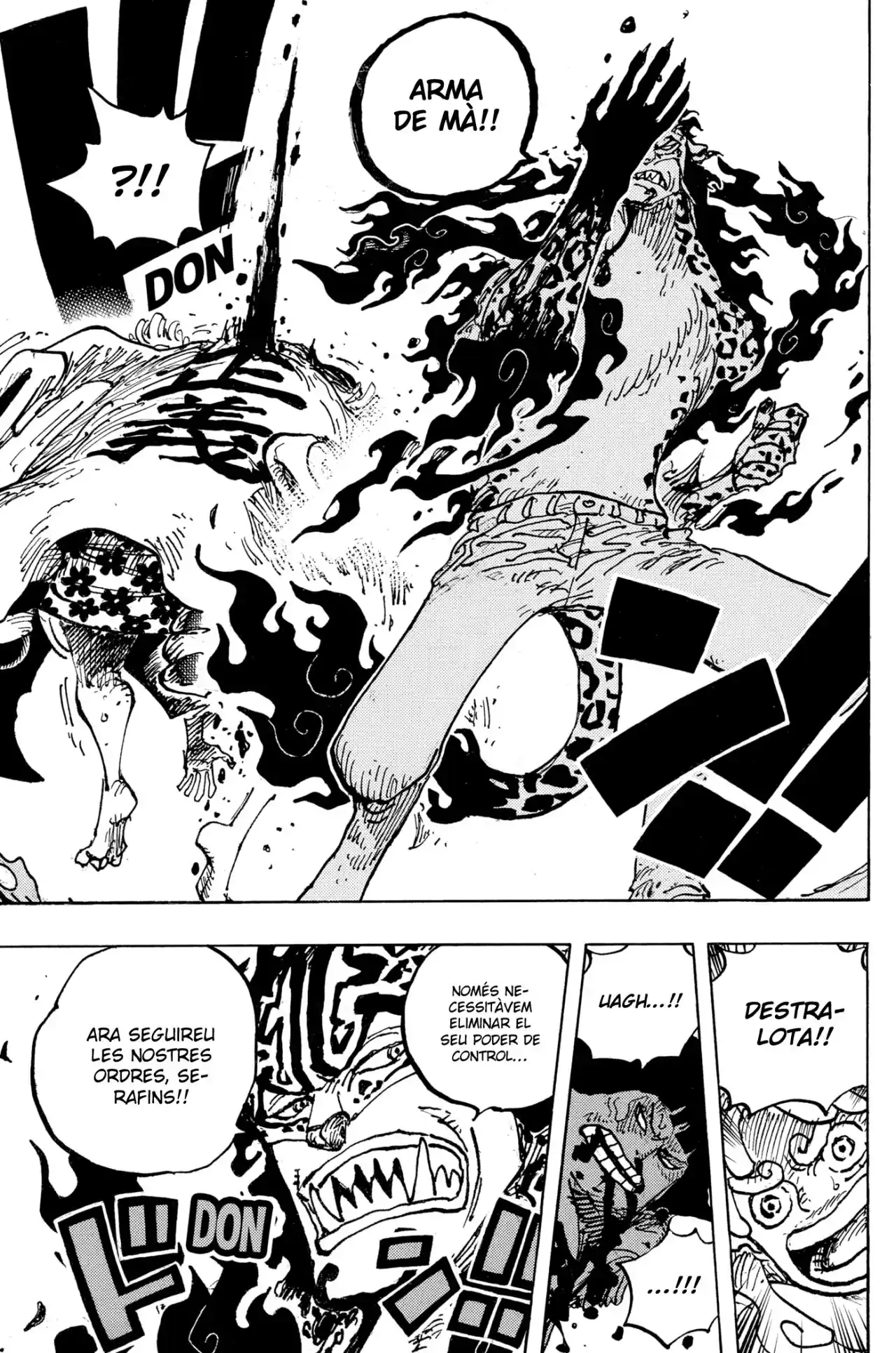 One Piece (Català) - Capítulo 1069 - Página 14 - LectorTMOo