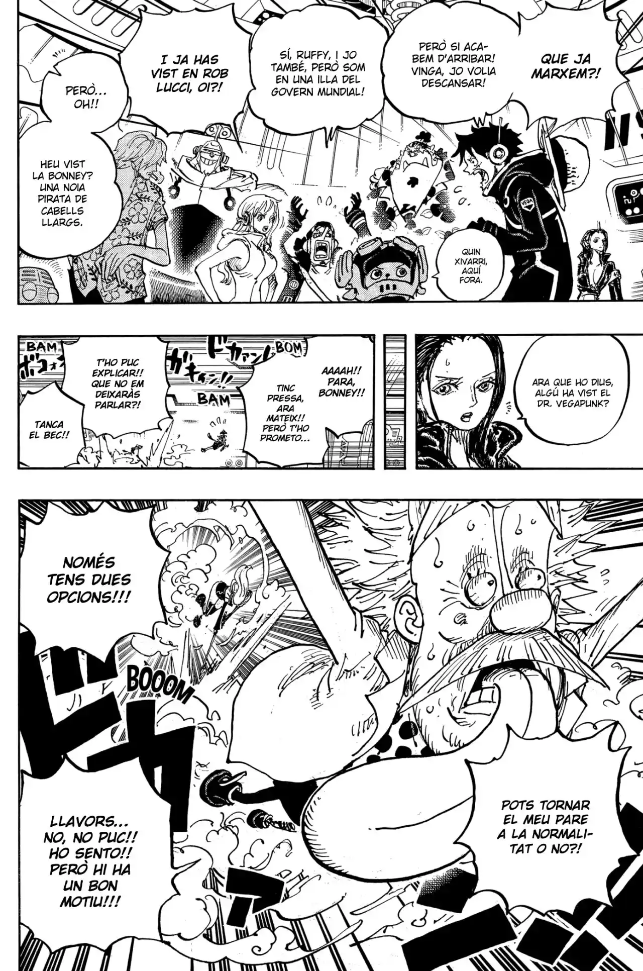 One Piece (Català) - Capítulo 1071 - Página 13 - LectorTMOo