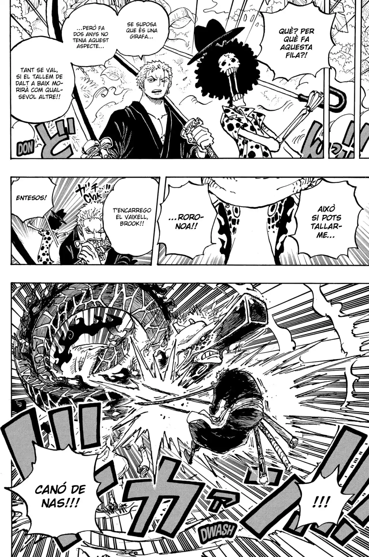 One Piece (Català) - Capítulo 1072 - Página 13 - LectorTMOo